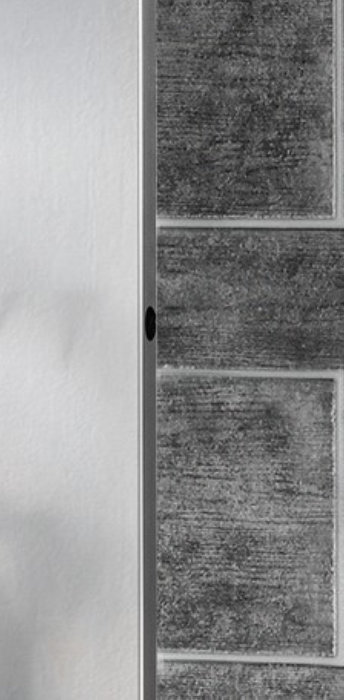 Fackelmann Spiegelelement AL 40, 42 x 100 x 4 cm