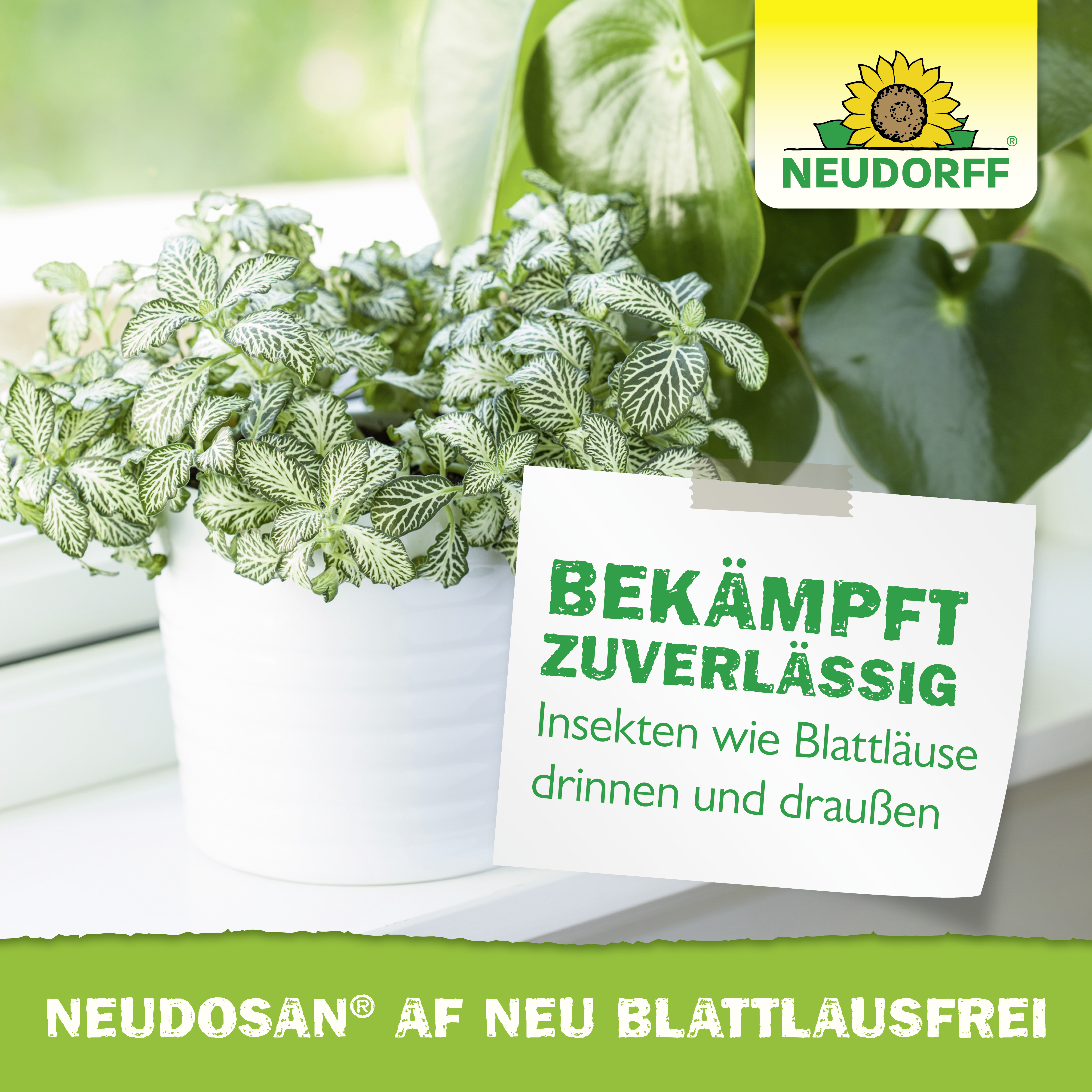 Neudorff Neudosan AF Neu Blattlausfrei, 250 ml