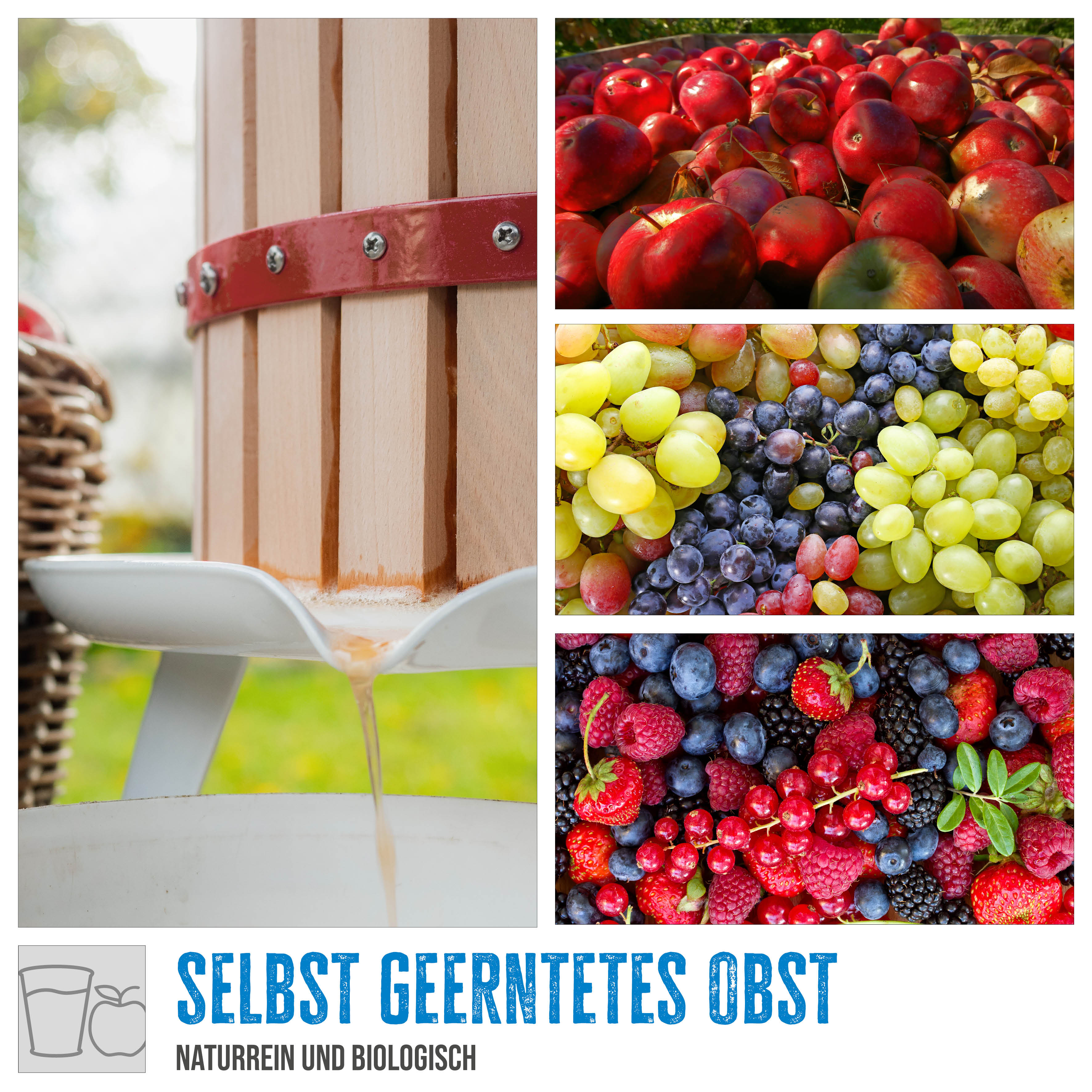 Güde Obstpresse OP 6