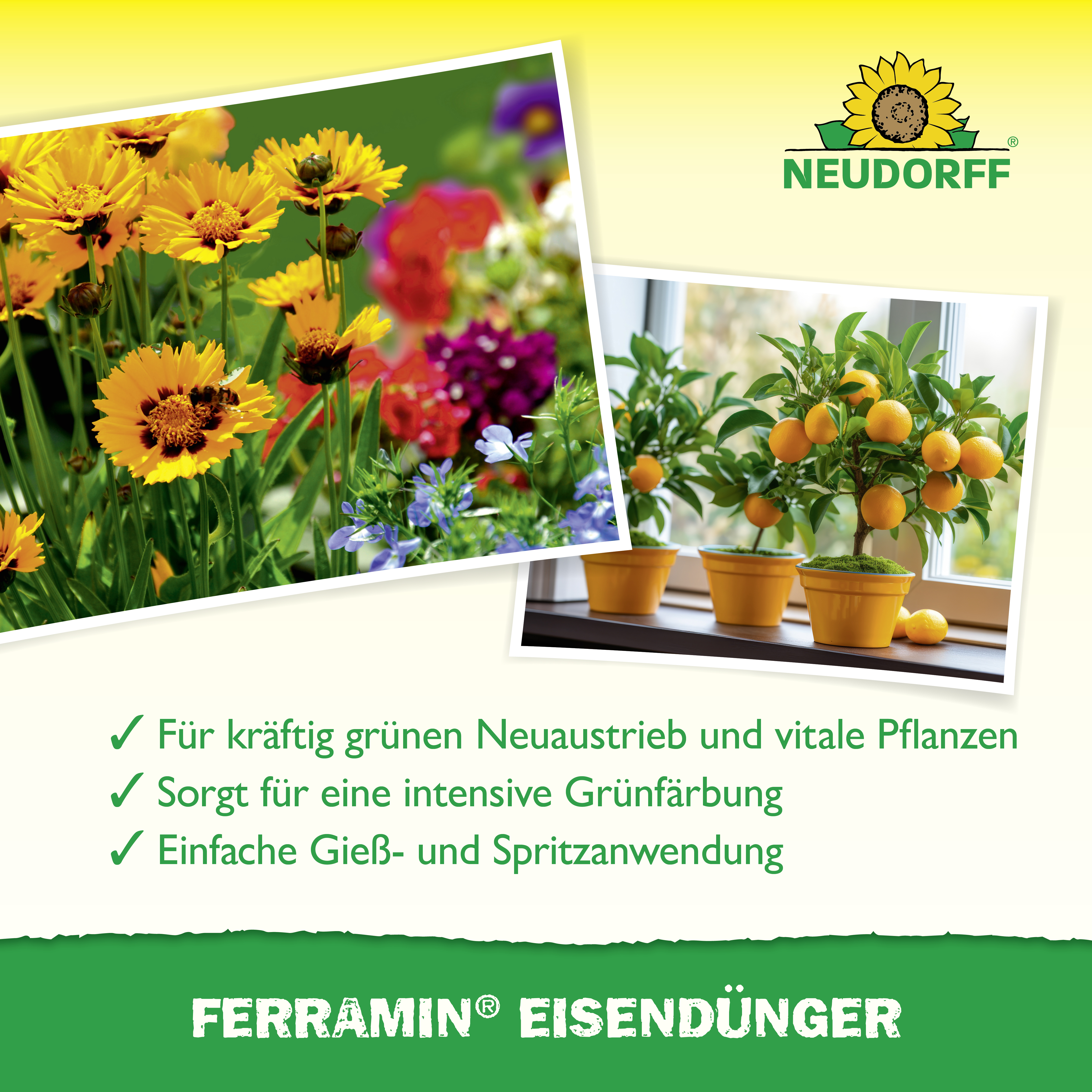 Neudorff Ferramin Eisendünger