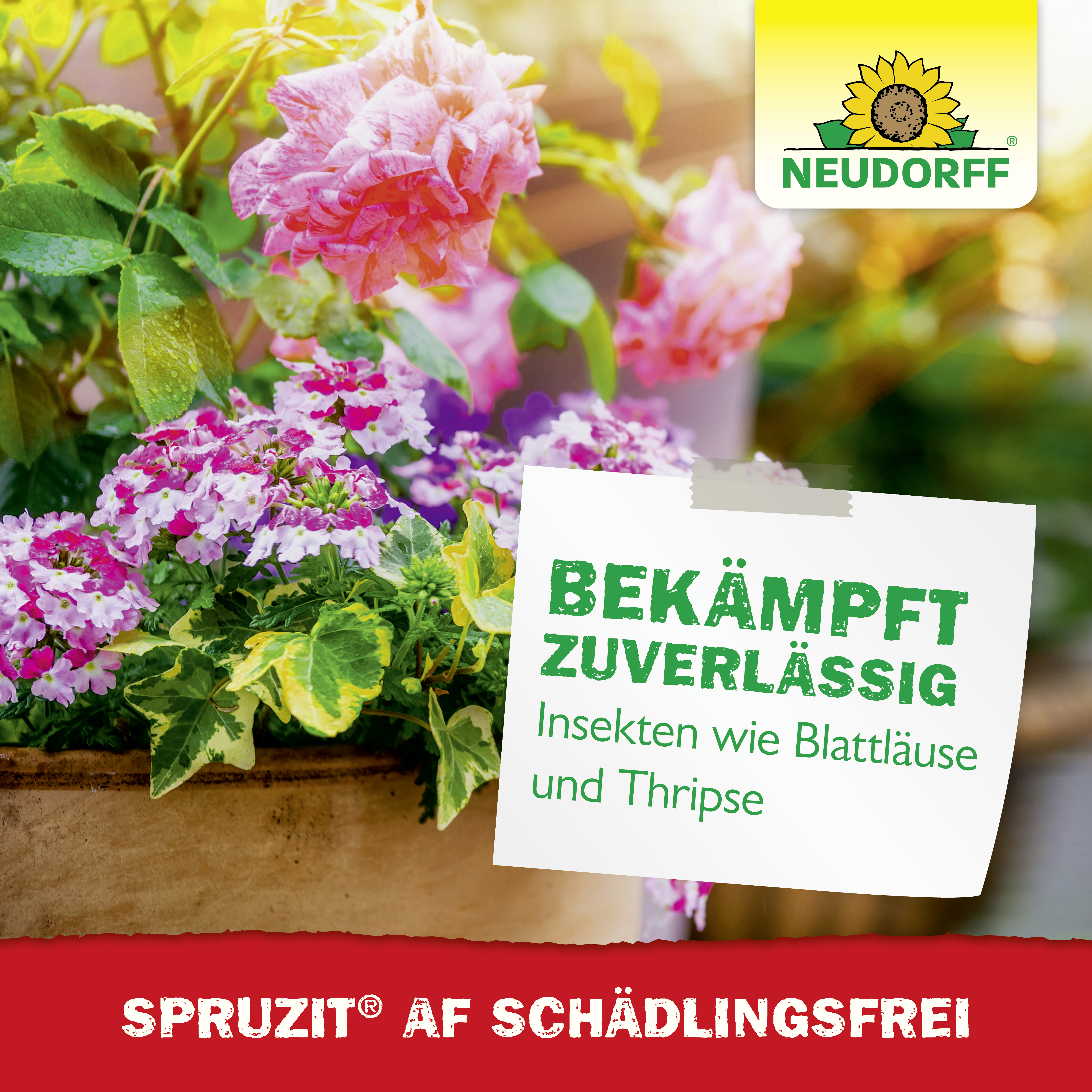 Neudorff Spruzit AF Schädlingsfrei, 500 ml