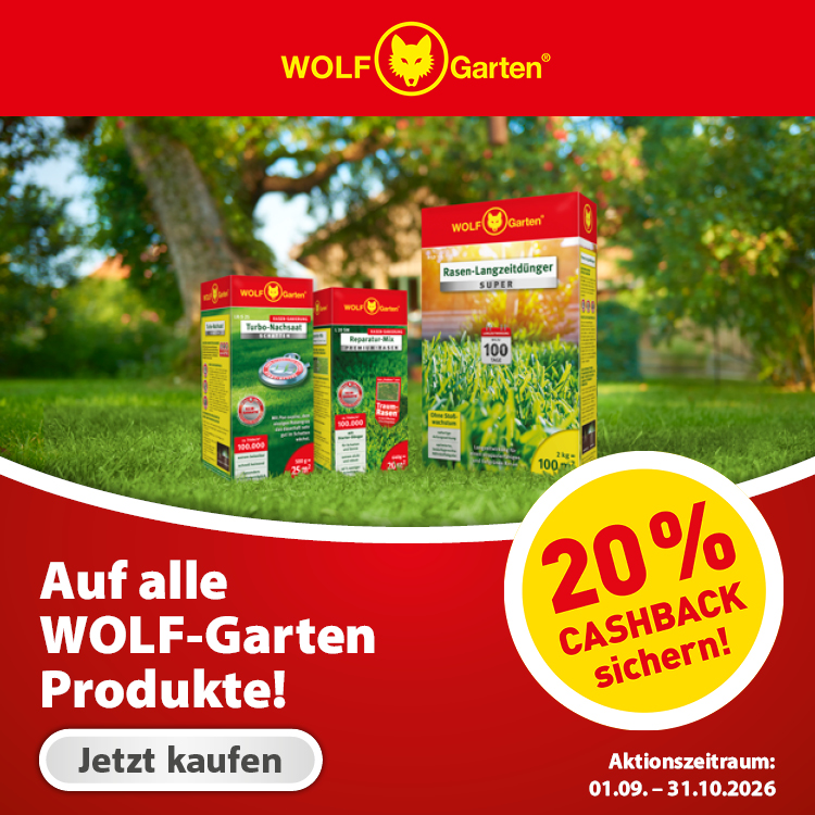 Cashback_Wolf_Banner_mobil