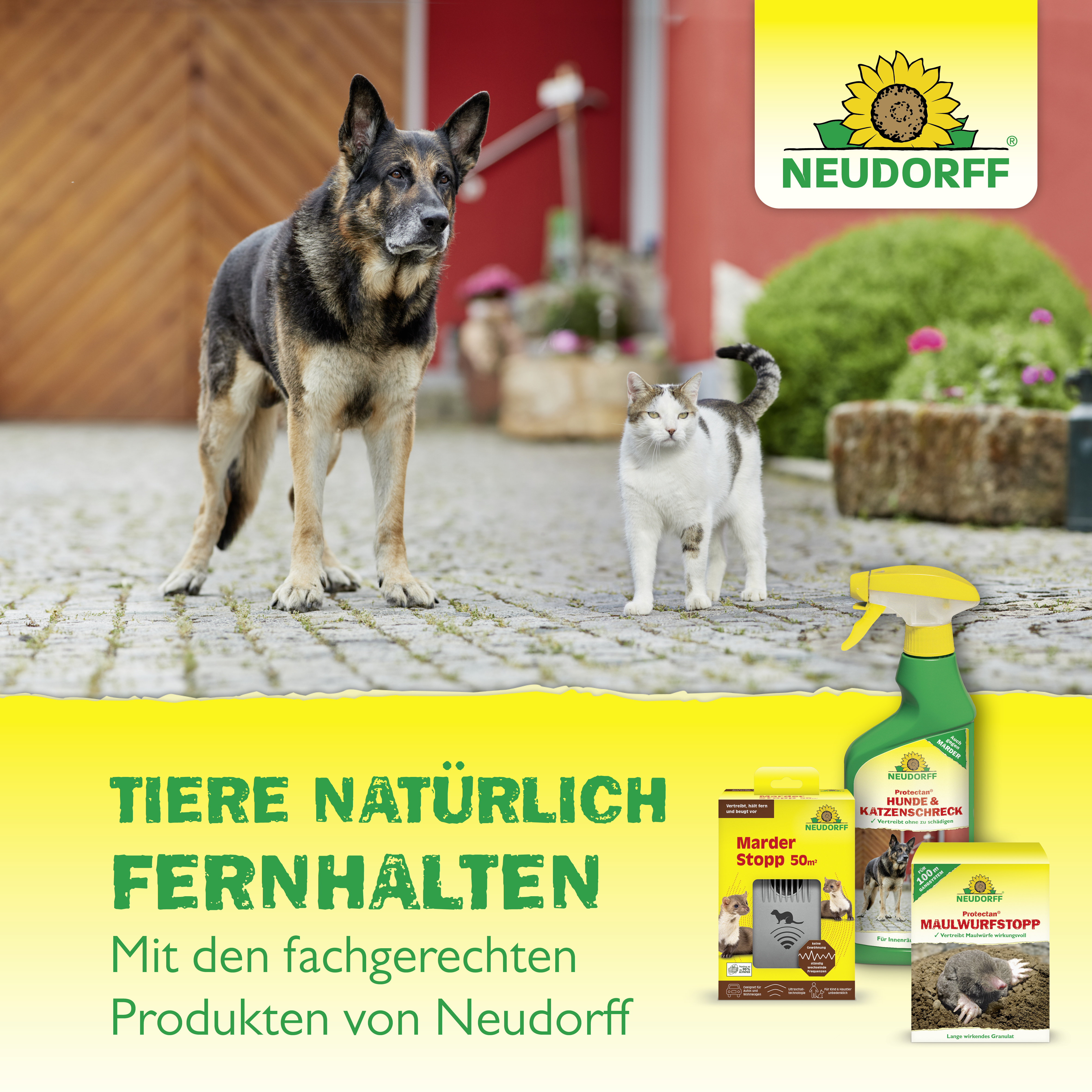 Neudorff Marder-& Waschbär-Schreck, 300 g Neudorff Marder-& Waschbär-Schreck, 300 g