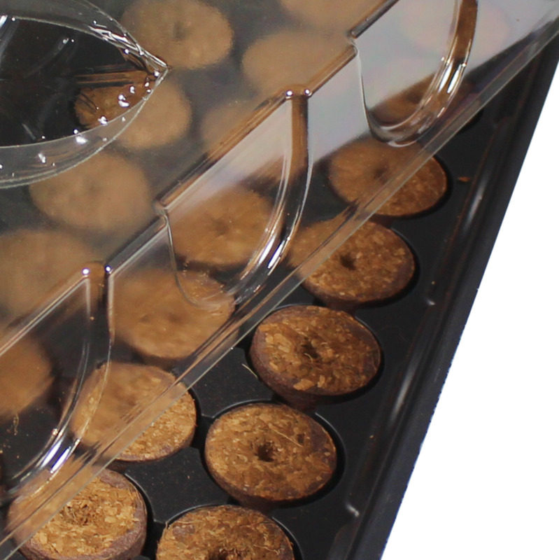 Windhager Fensterbank-Treibhaus, 54,5 x 16,5 x 11 cm Windhager Fensterbank-Treibhaus, 54,5 x 16,5 x 11 cm