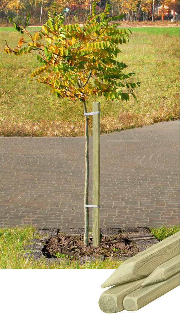 Delta Pflanzstab, vierkant, KDI grün, 3,2 x 3,2 x 150 cm Delta Pflanzstab, vierkant, KDI grün, 3,2 x 3,2 x 150 cm