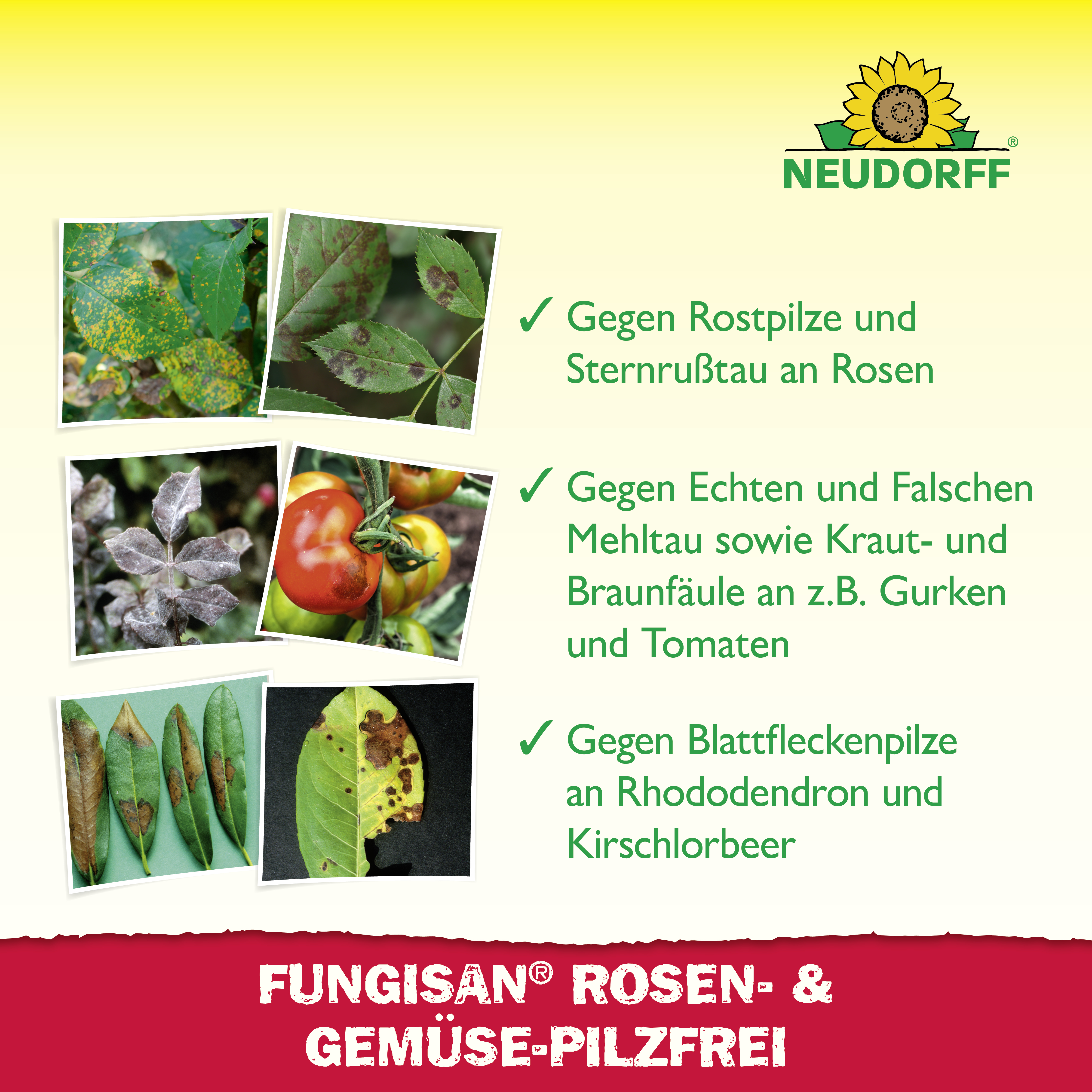Neudorff Fungisan Rosen- und Gemüse-Pilzfrei, 16 ml