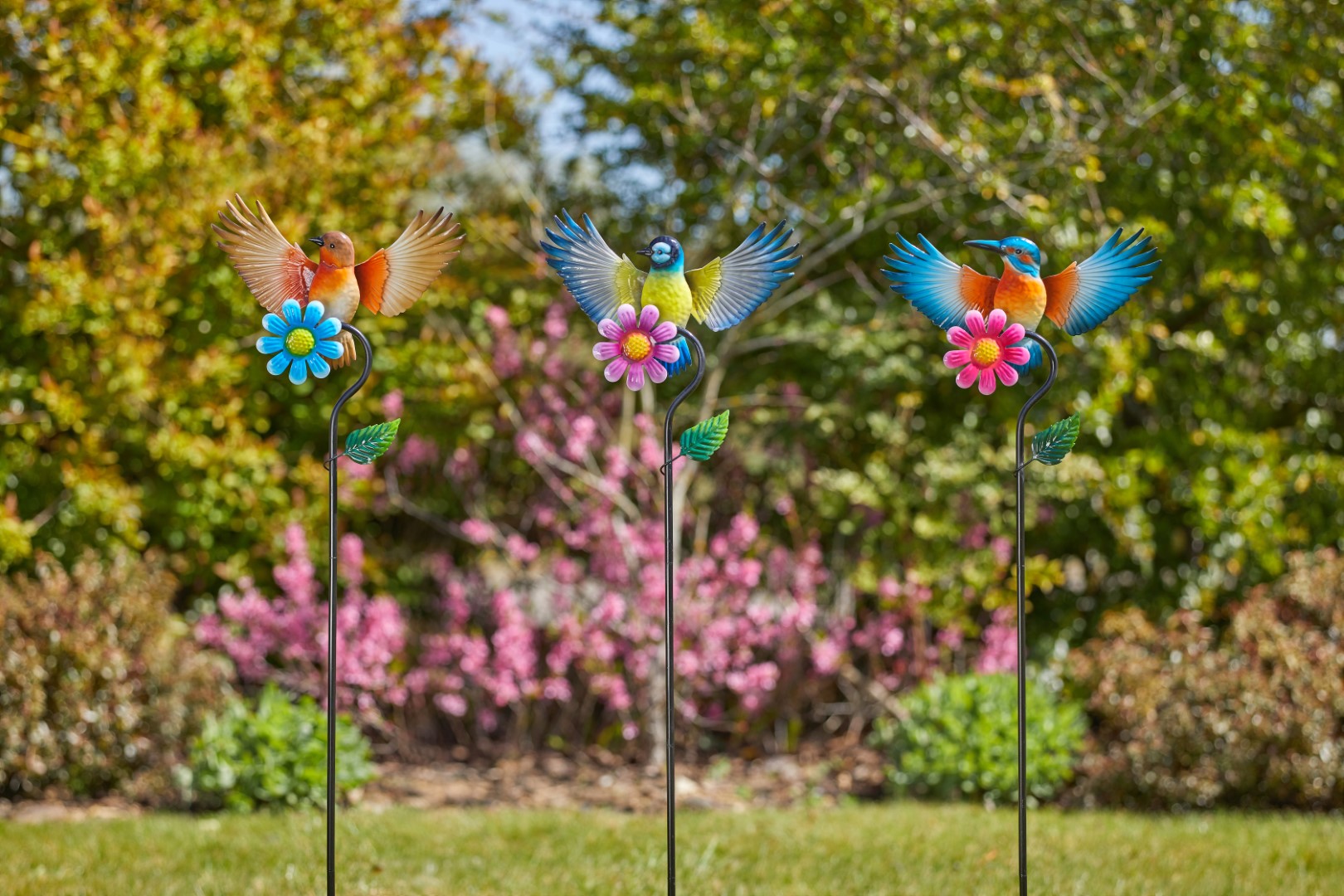 Smart Garden Flowerbirds Barmy