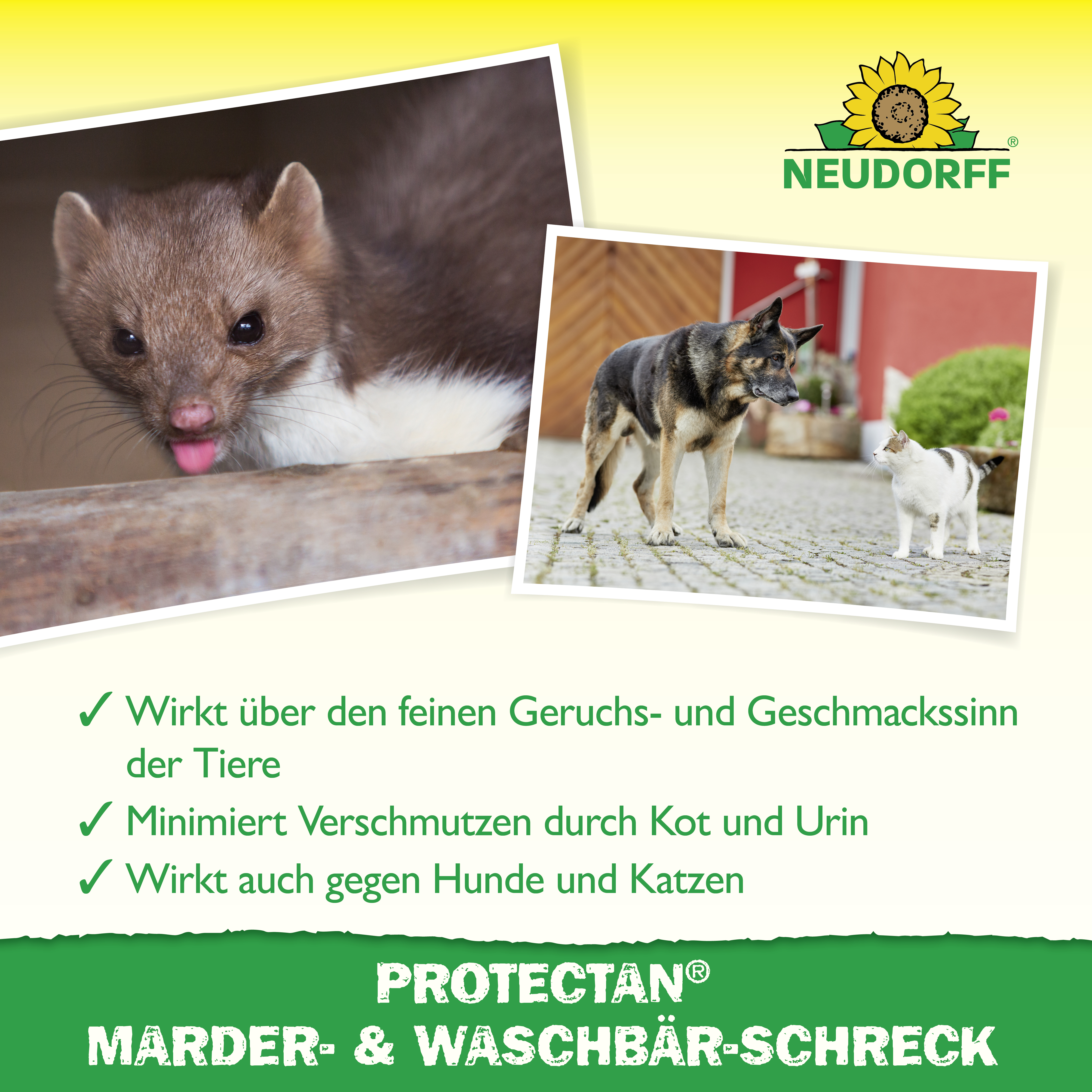 Neudorff Marder-& Waschbär-Schreck, 300 g Neudorff Marder-& Waschbär-Schreck, 300 g