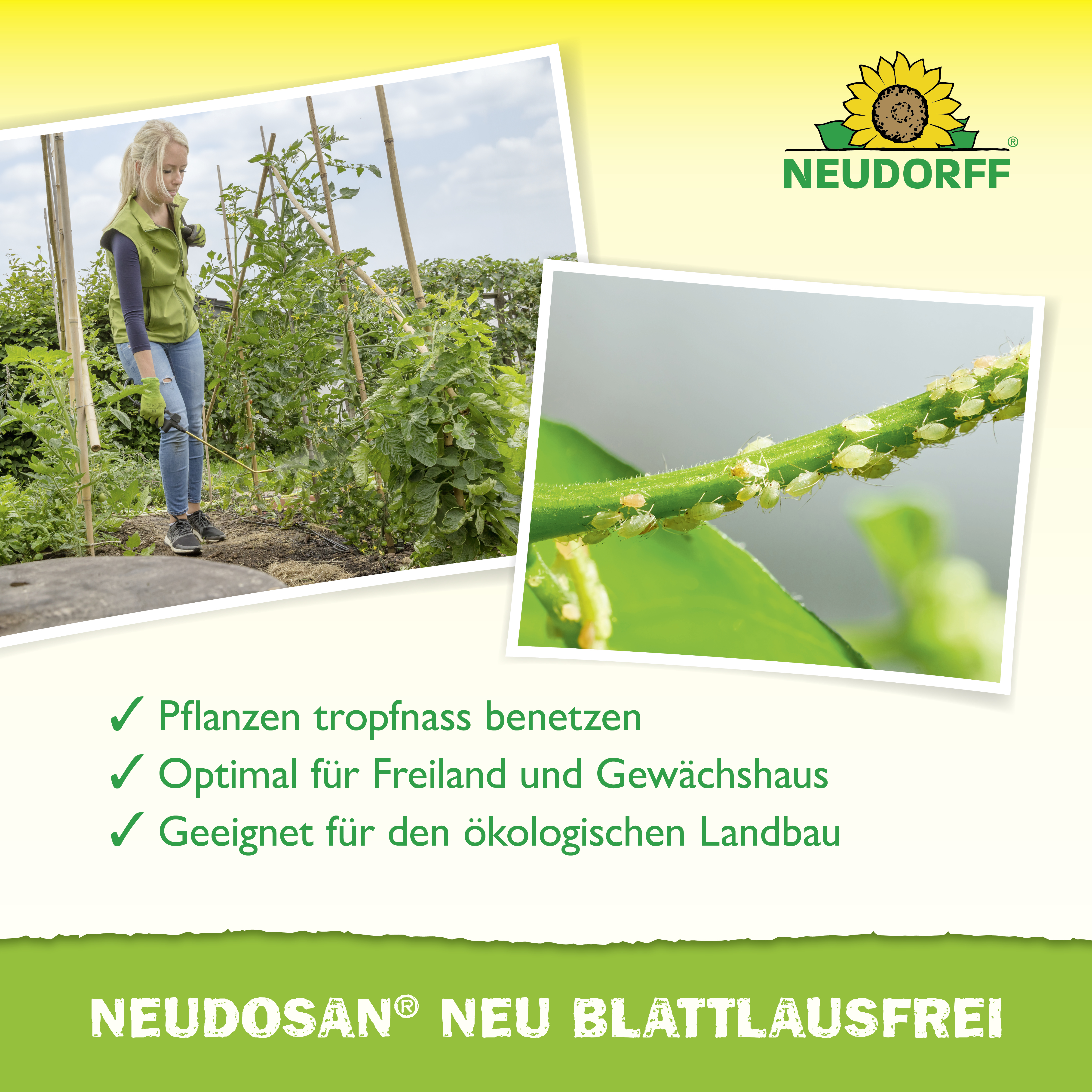 Neudorff Neudosan Neu Blattlausfrei, 500 ml