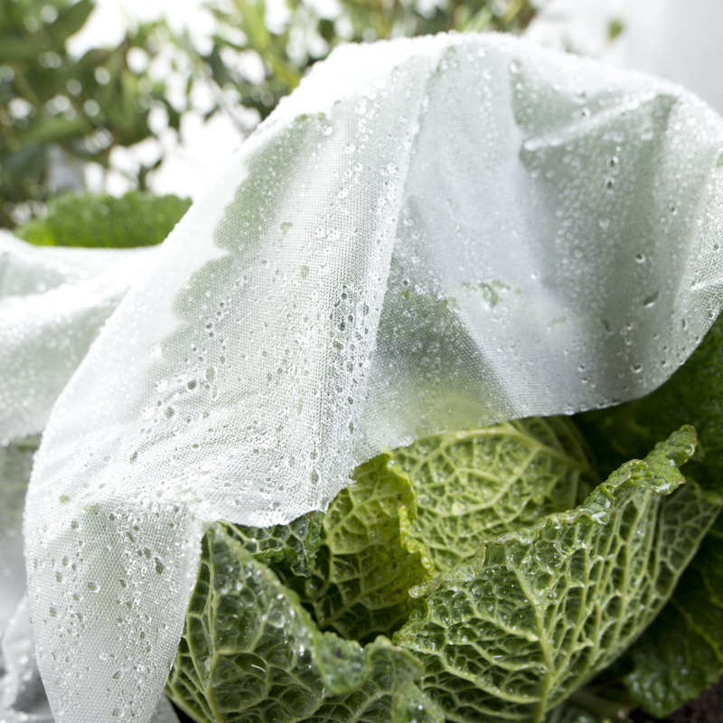 Windhager Frühbeet-Folie Supergrow, 5 x 1,35 m, 17 g/m² Windhager Frühbeet-Folie Supergrow, 5 x 1,35 m, 17 g/m²