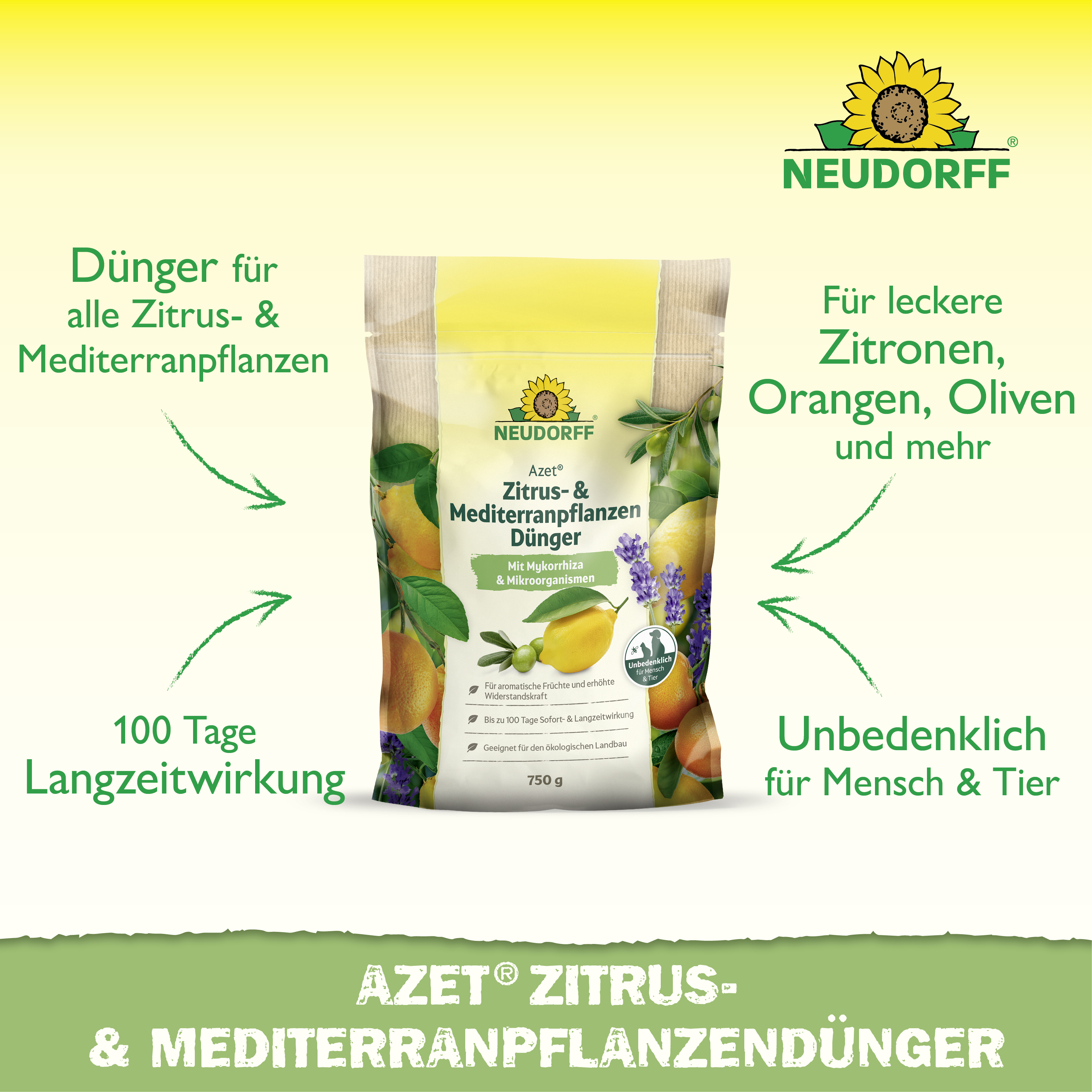 Neudorff Azet Zitrus- & MediterranpflanzenDünger, 750 g