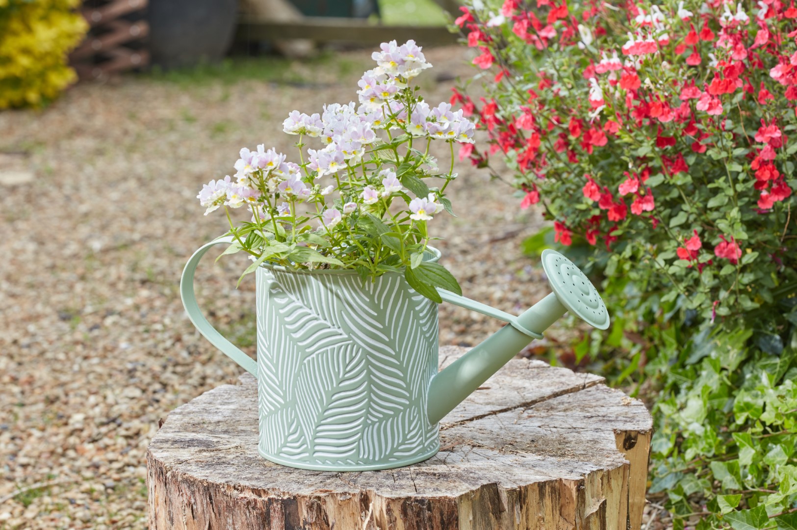 Smart Garden Pflanzgefäß Farn, salbei