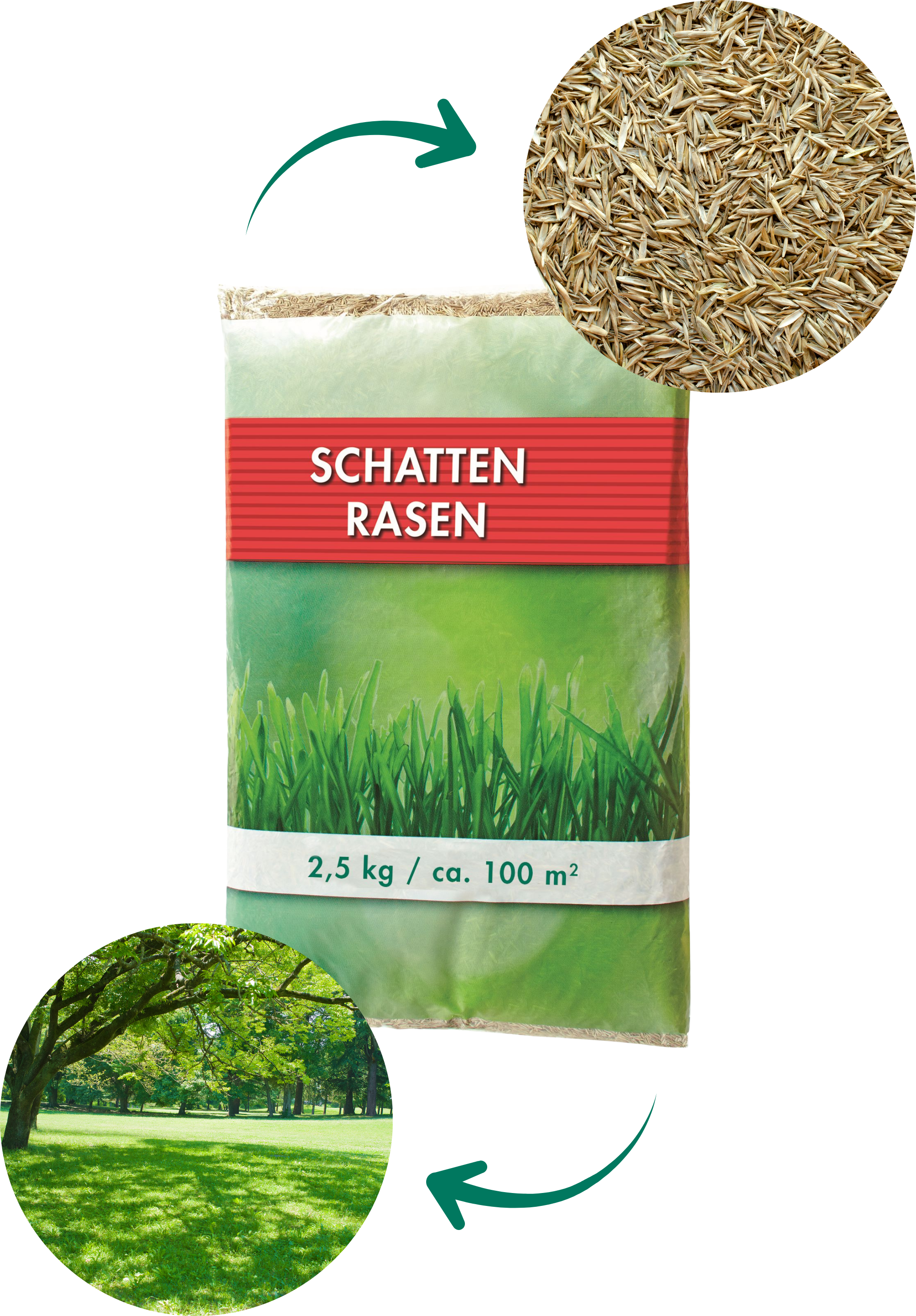 Aktionsrasen Schattenrasen, 2,5 kg