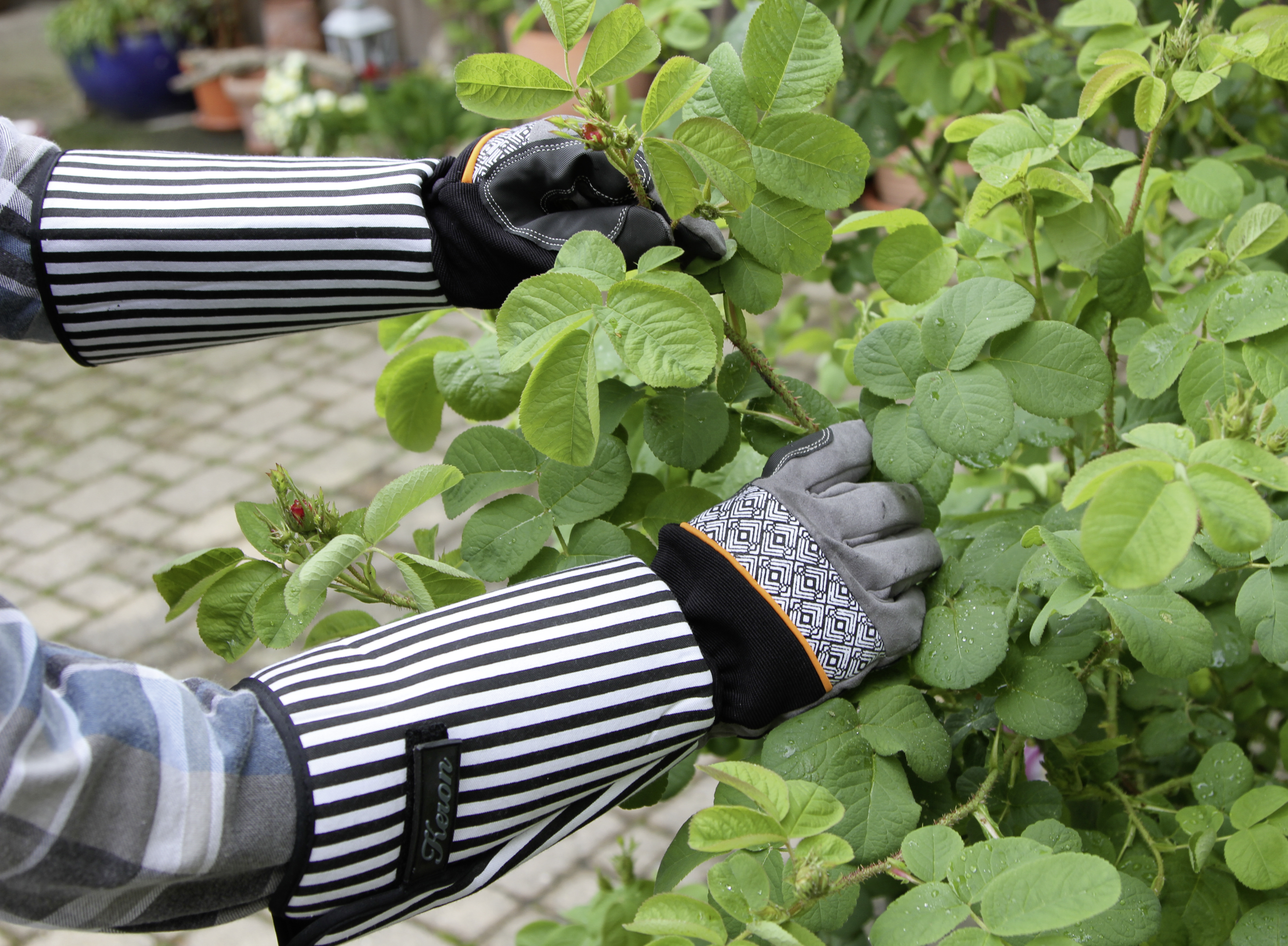 Keron Rosenhandschuh Gr. 10/XL Rose Garden, lange Stulpe