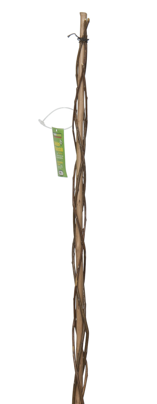 9003117057517 Pflanzstab Sintra 160cm 2cm