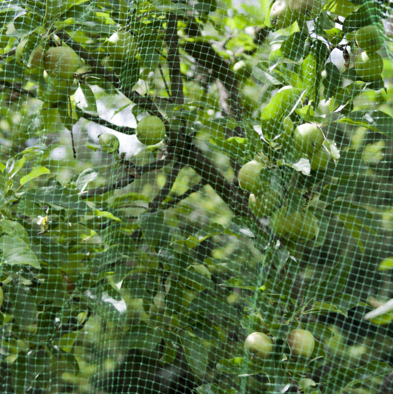 Windhager Vogelschutz-Netz Ortonet, 10 x 2 m