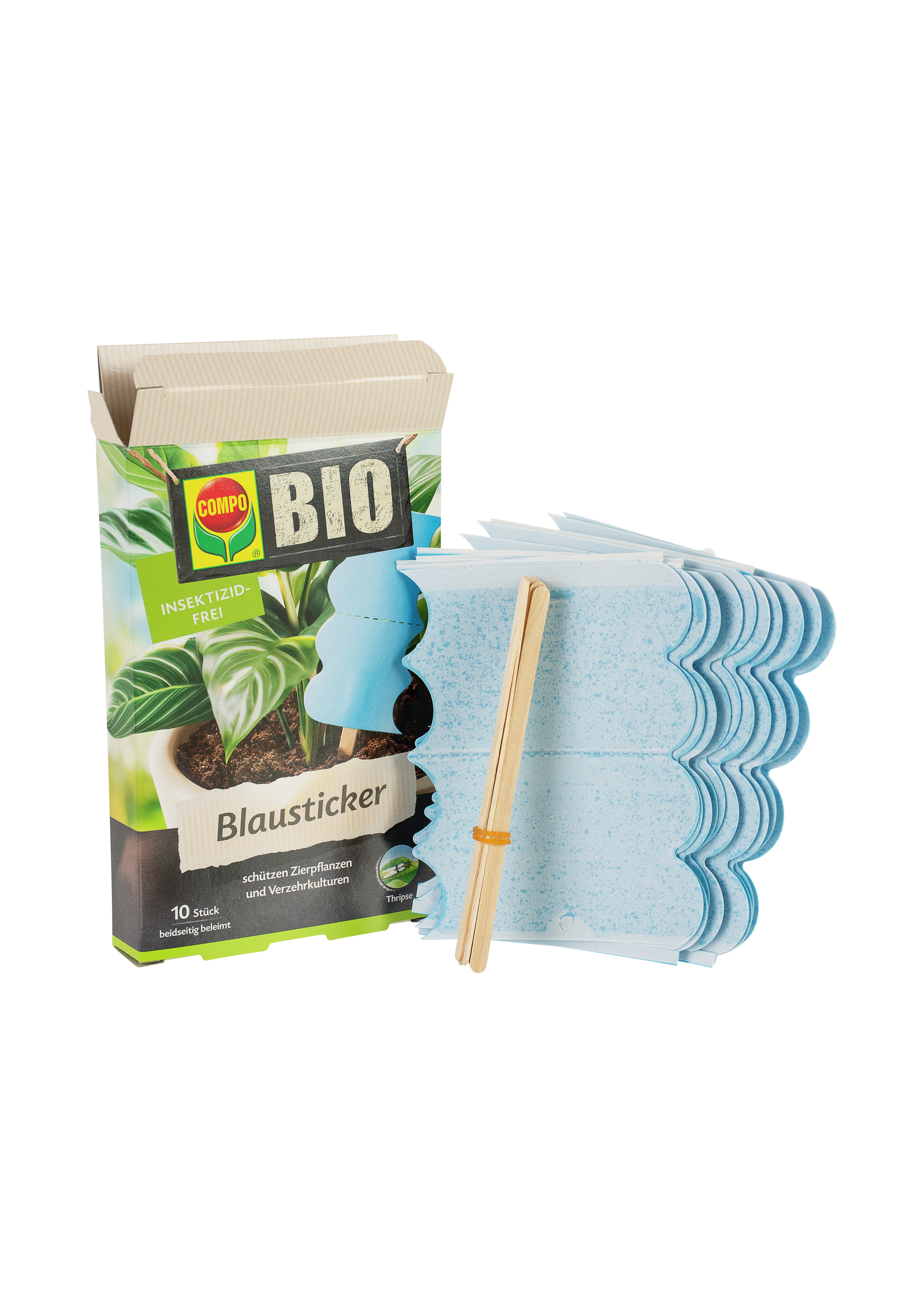 Compo BIO Blausticker, 10 Stück Compo BIO Blausticker, 10 Stück
