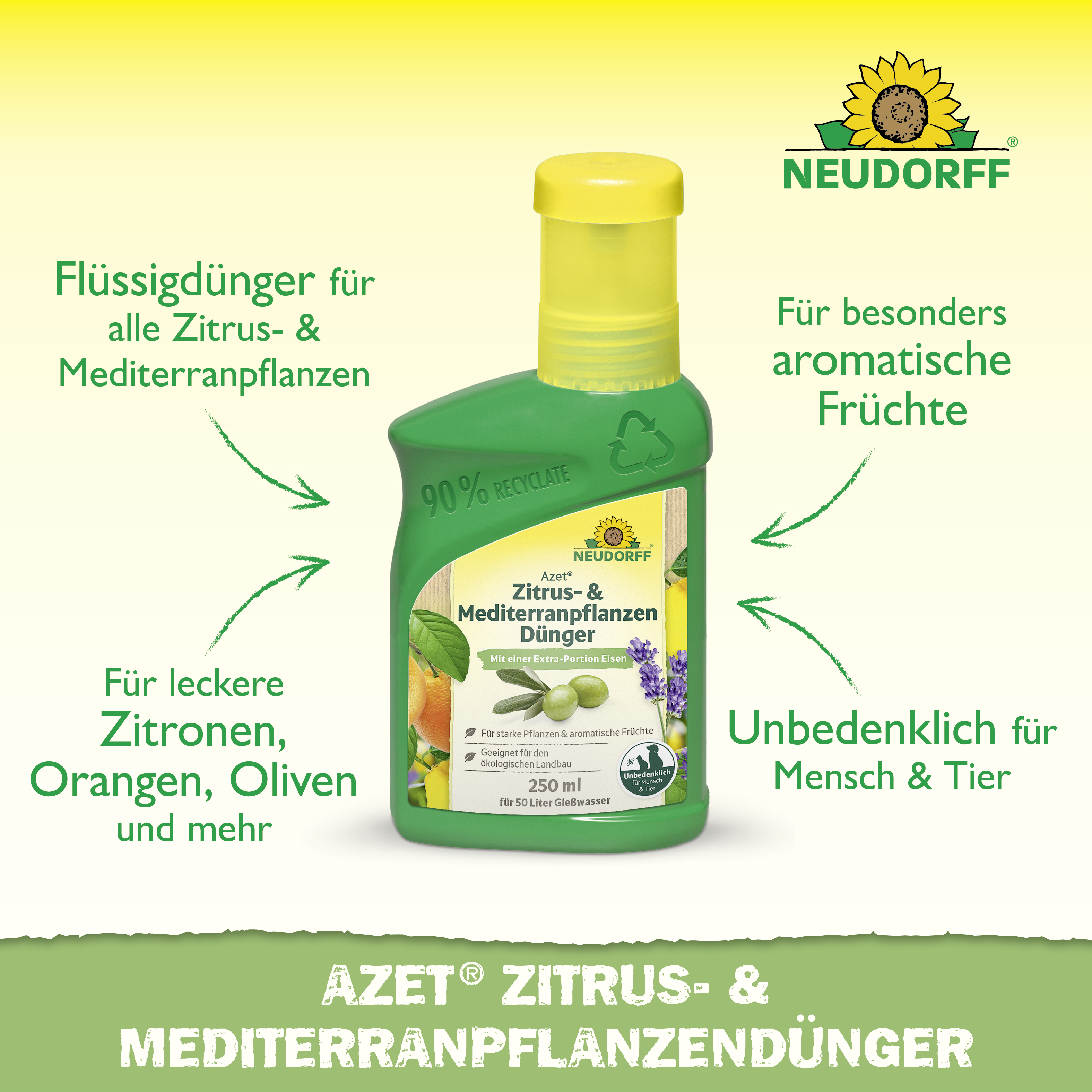 Neudorff Azet Zitrus- & MediterranpflanzenDünger, 250 ml