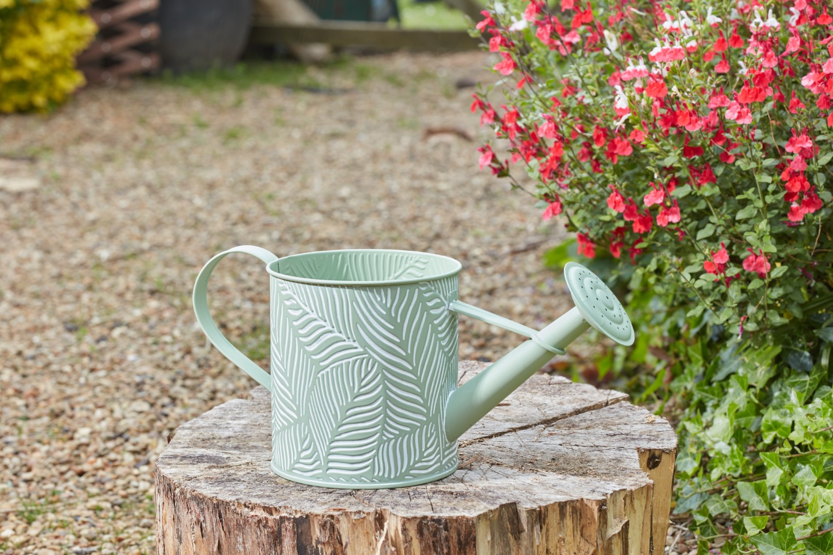 Smart Garden Pflanzgefäß Farn, salbei