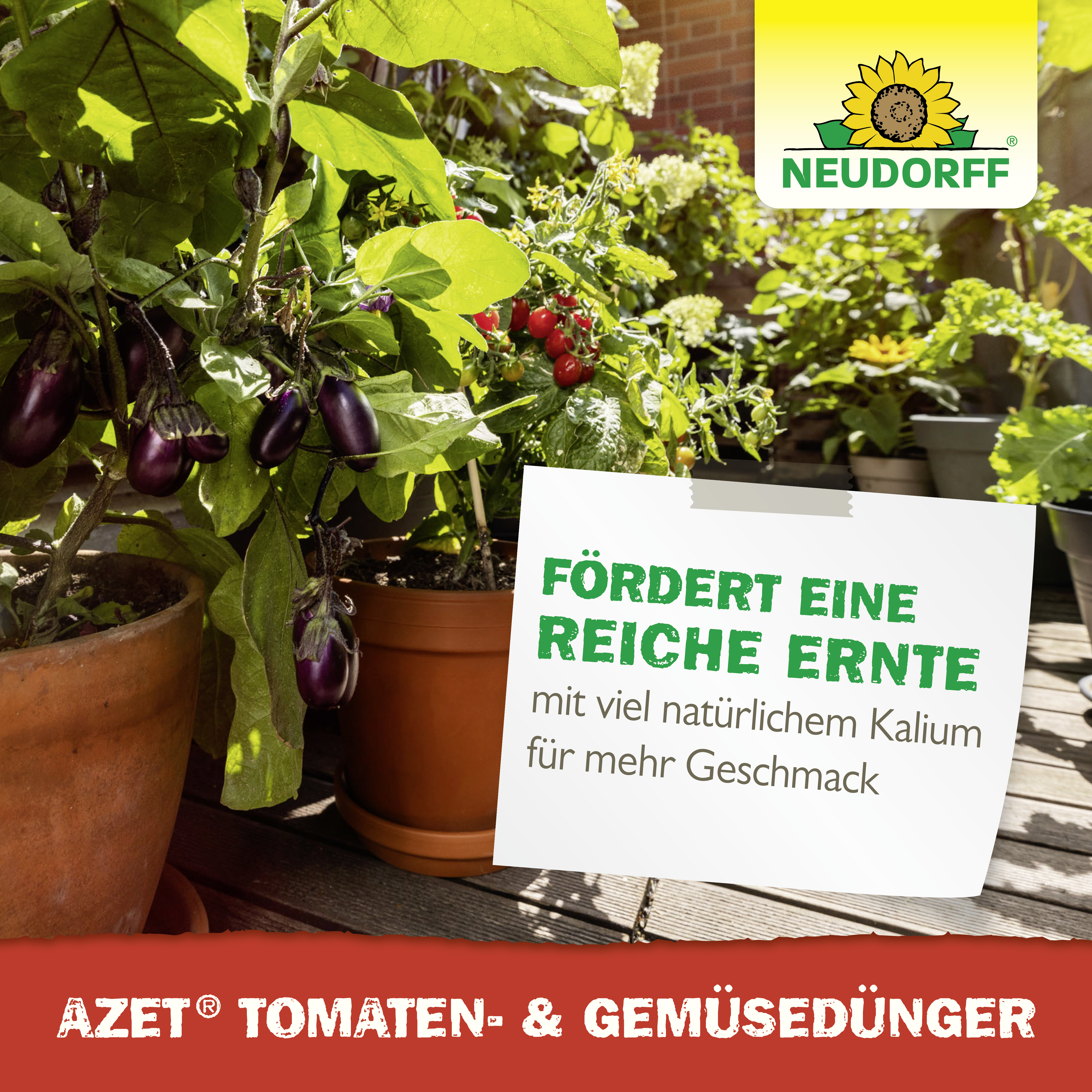 Neudorff Azet Tomaten- und GemüseDünger, 1 l