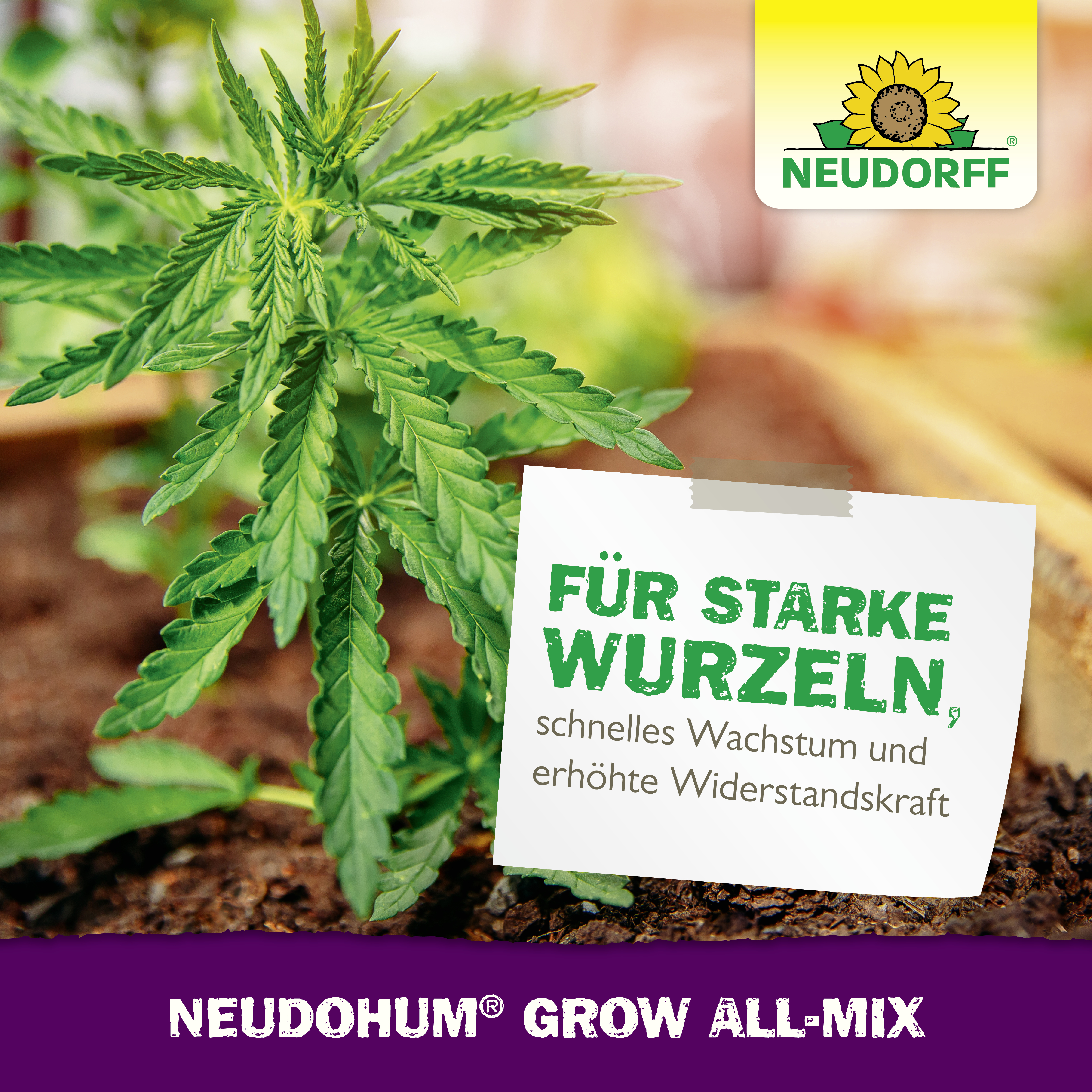 Neudorff NeudoHum Grow All-Mix, 20 l