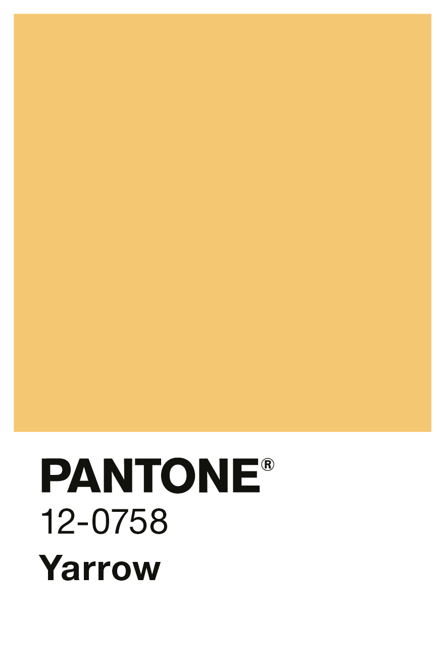 Alpina PANTONE® Yarrow, 2,5 Liter