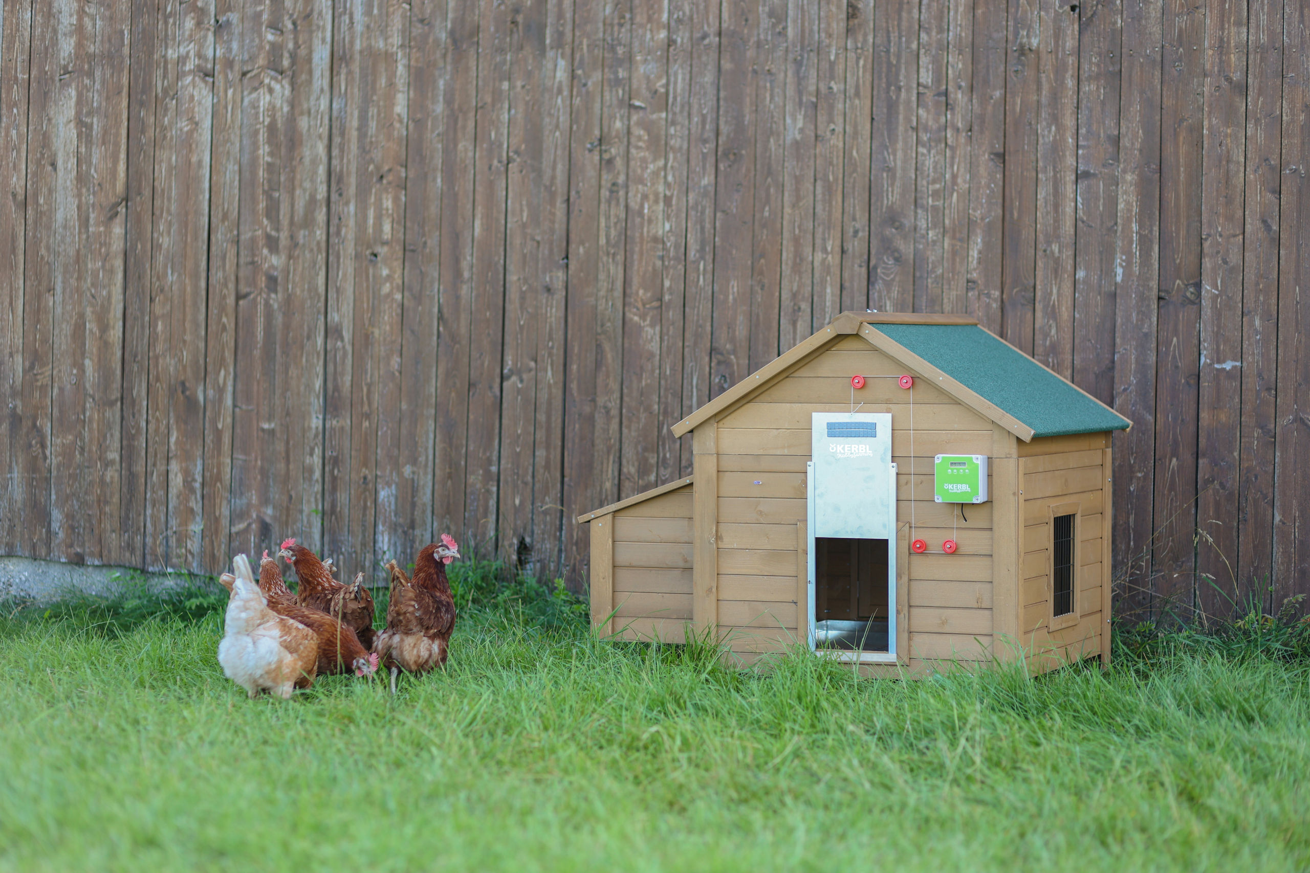 Kerbl Automatische Hühnertür mit Schiebetür 430x400mm, verpackt