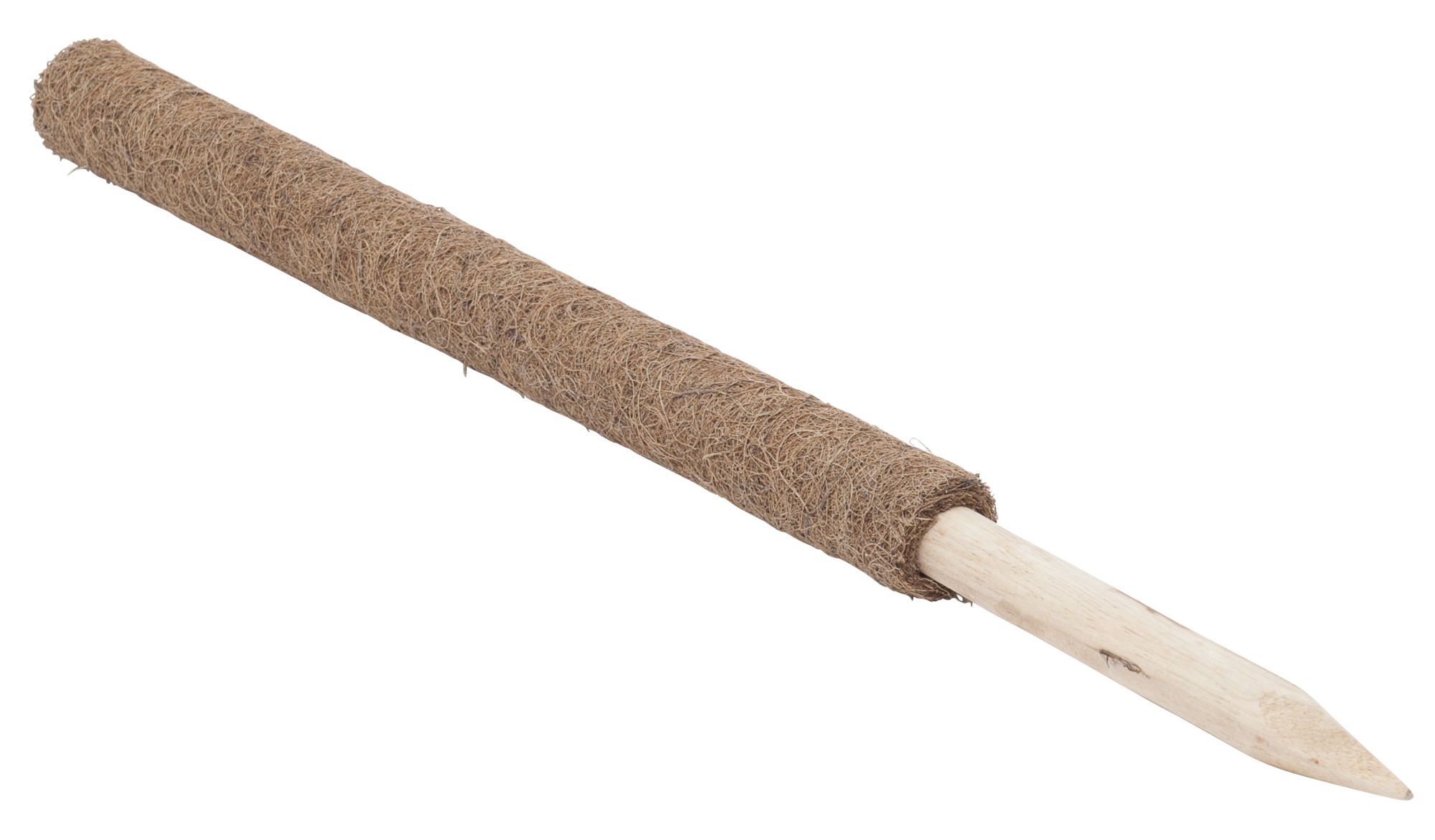 9003117056626 Pflanzstab Kokos 80cm 4,5cm