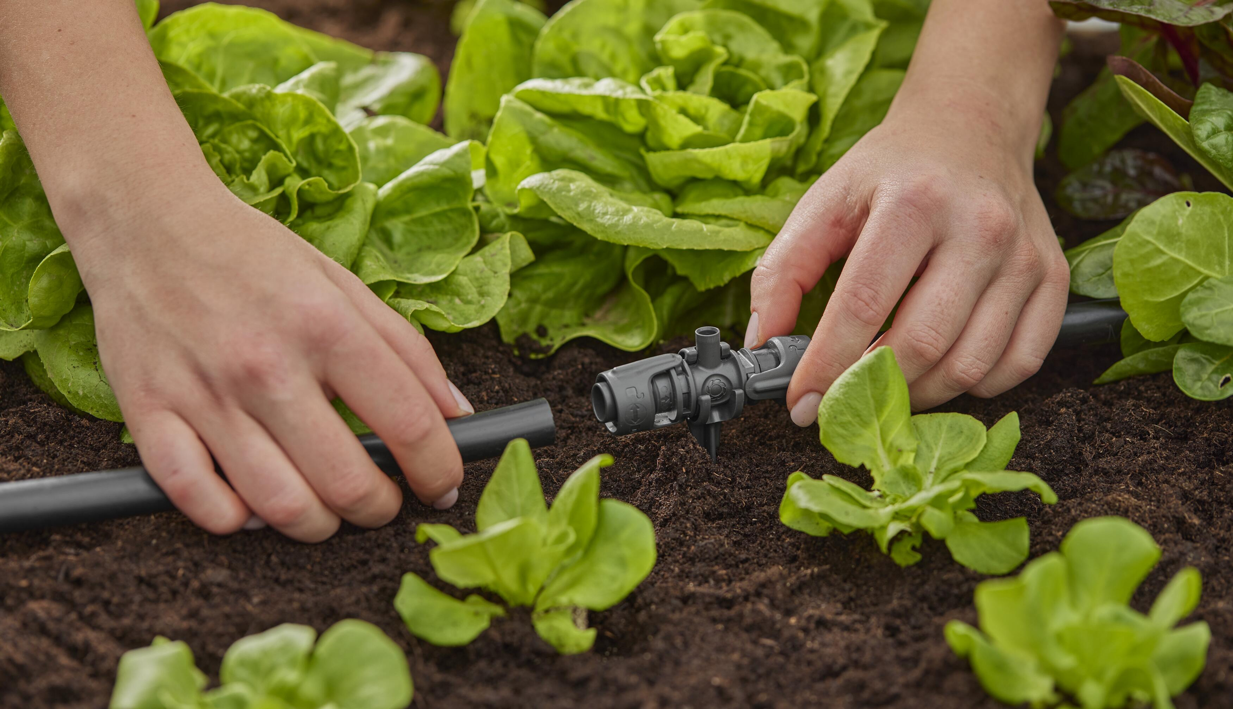 Gardena Micro-Drip-System T-Stück für Sprühdüsen 13 mm (1/2") - Inhalt: 5 Stück
