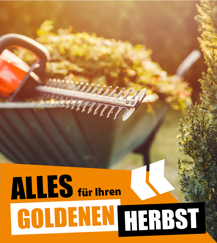 Goldener Herbst _750x840