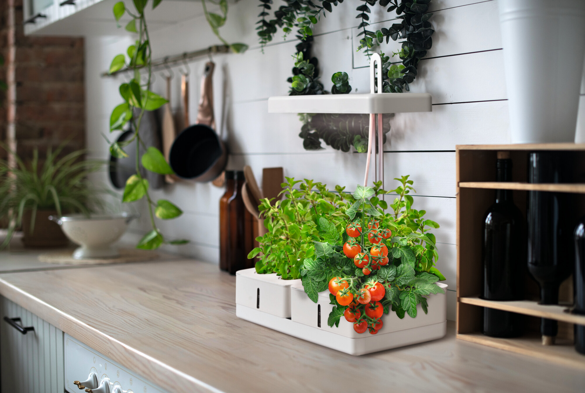 Ledvance Indoor Garden Kit 450 20W, weiß Ledvance Indoor Garden Kit 450 20W, weiß