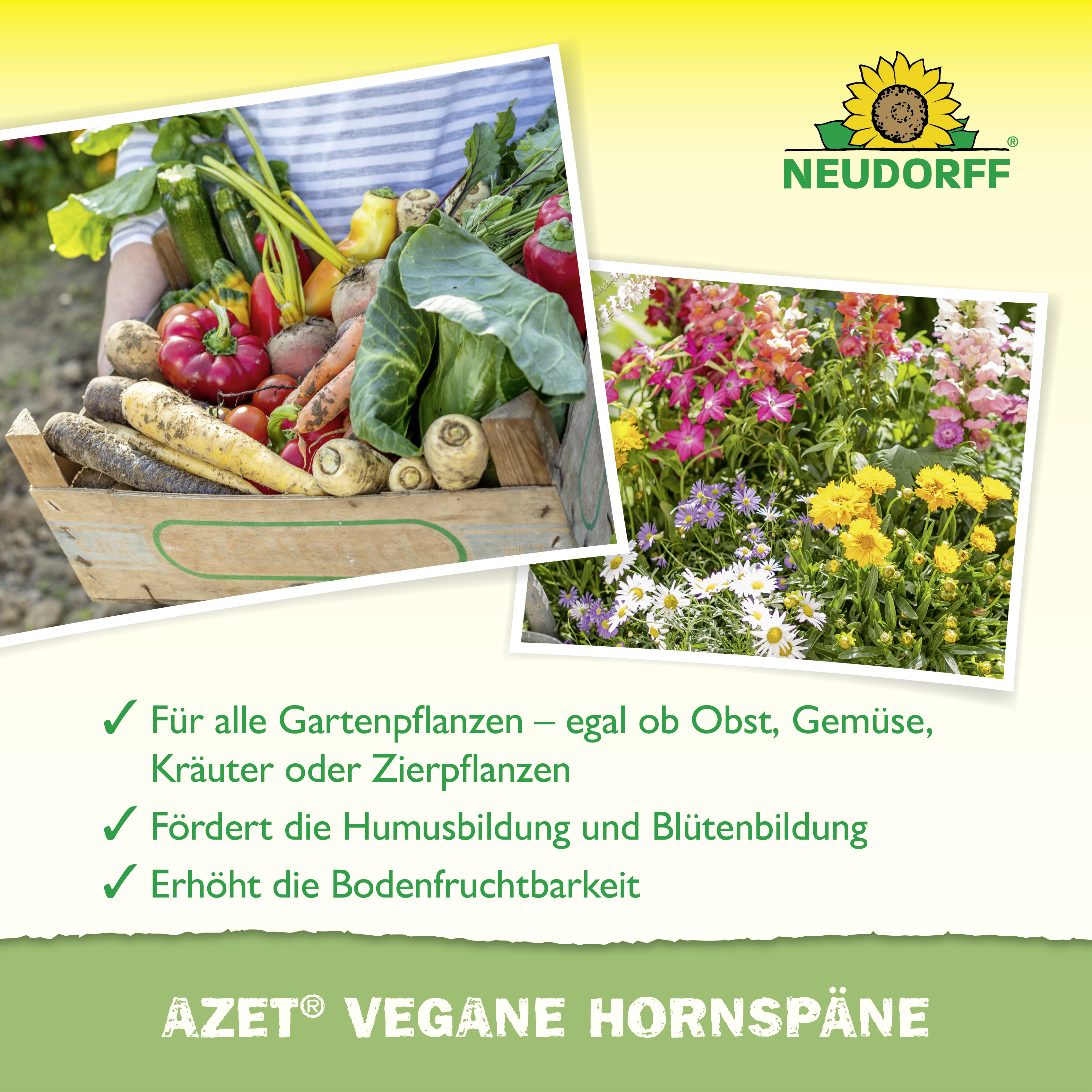 Neudorff Azet Vegane Hornspäne, 2,5 Kg