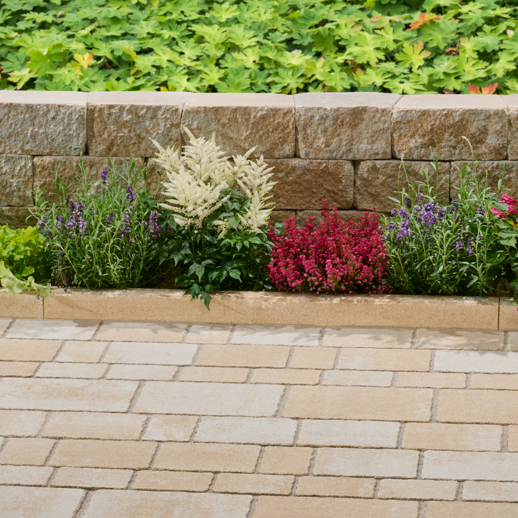 Kann Vero-Randstein 6 x 25 x 100 cm, sandsteingelb