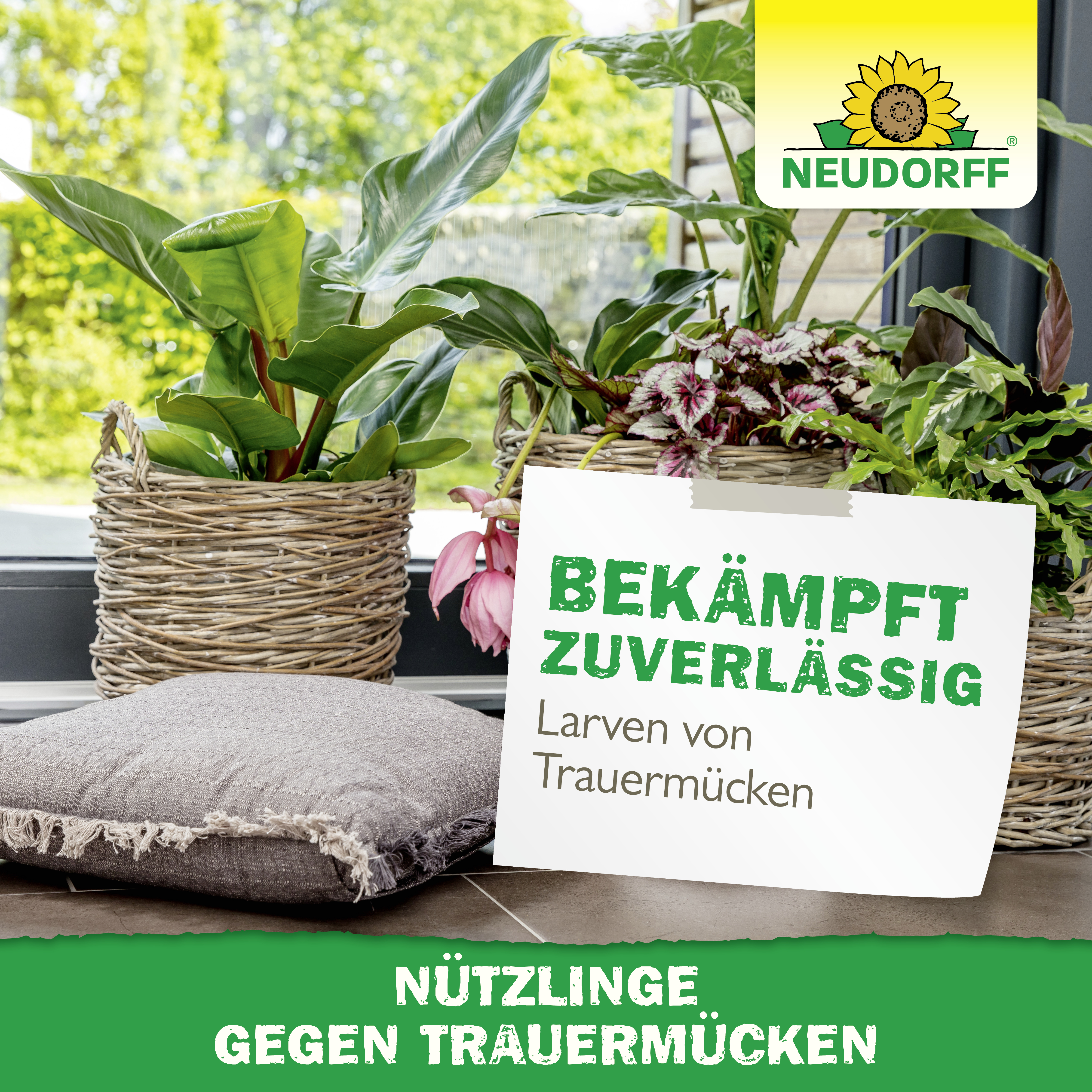 Neudorff Bestell-Karte Nützlinge gegen Trauermücken