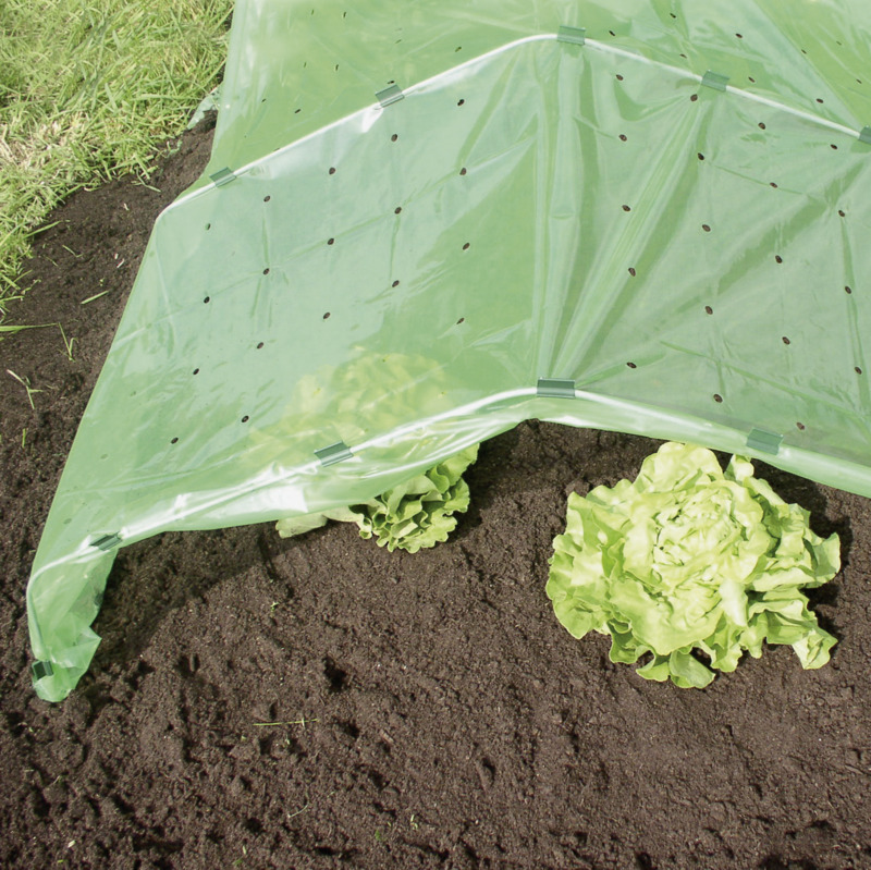 Windhager Frühbeet-Folie Strong, 10 x 1,5 m, 37 m² Windhager Frühbeet-Folie Strong, 10 x 1,5 m, 37 m²