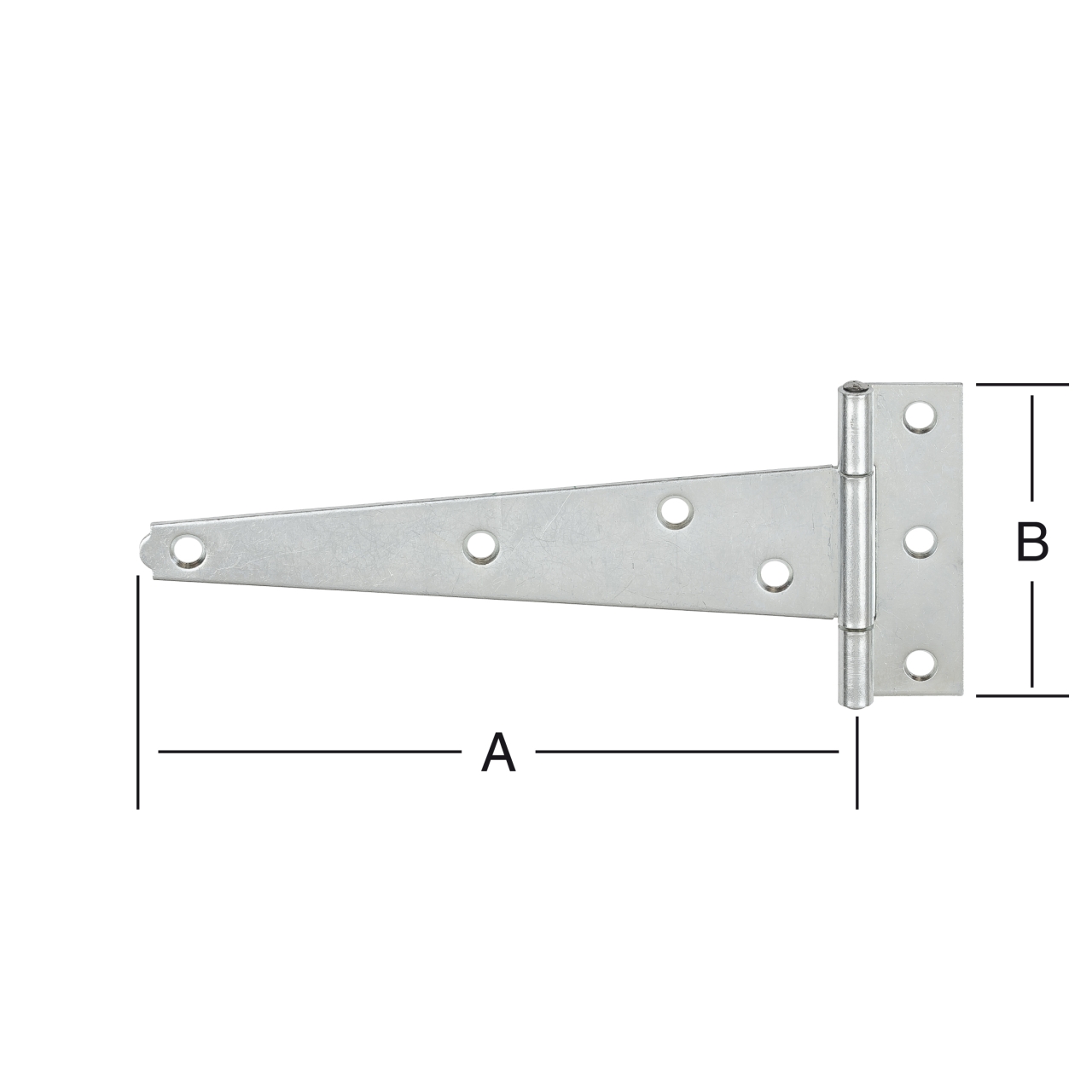 Vormann T-Band gerollt