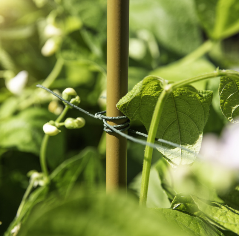 Windhager Stahl-Pflanzstab, braun, 180 x 1,1 cm Windhager Stahl-Pflanzstab, braun, 180 x 1,1 cm