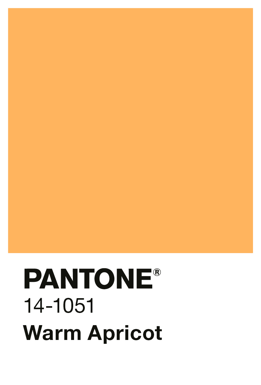 Alpina PANTONE® Warm Apricot, 1 Liter