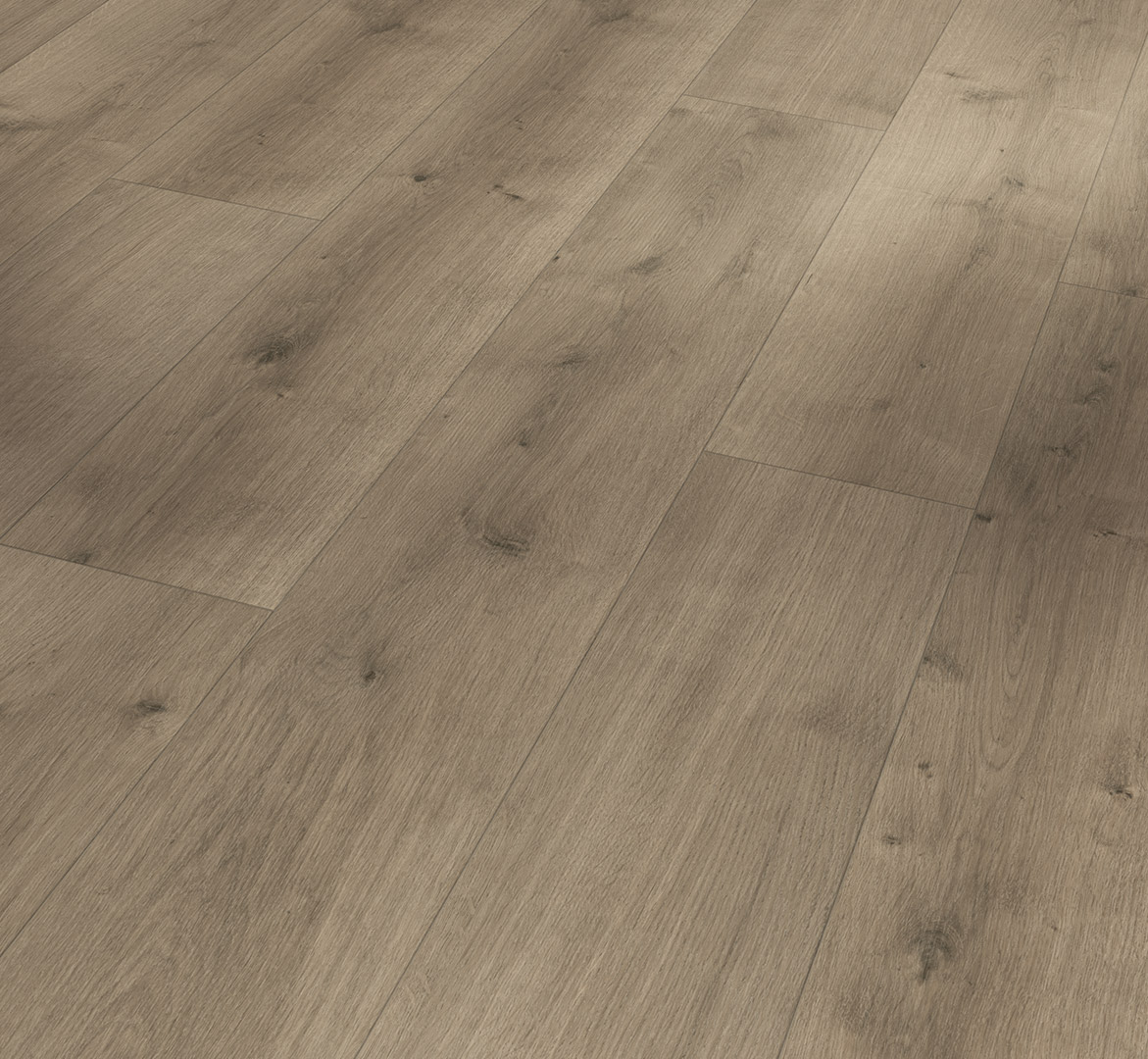 Parador Designboden Modular ONE Eiche pure perlgrau Parador Designboden Modular ONE Eiche pure perlgrau