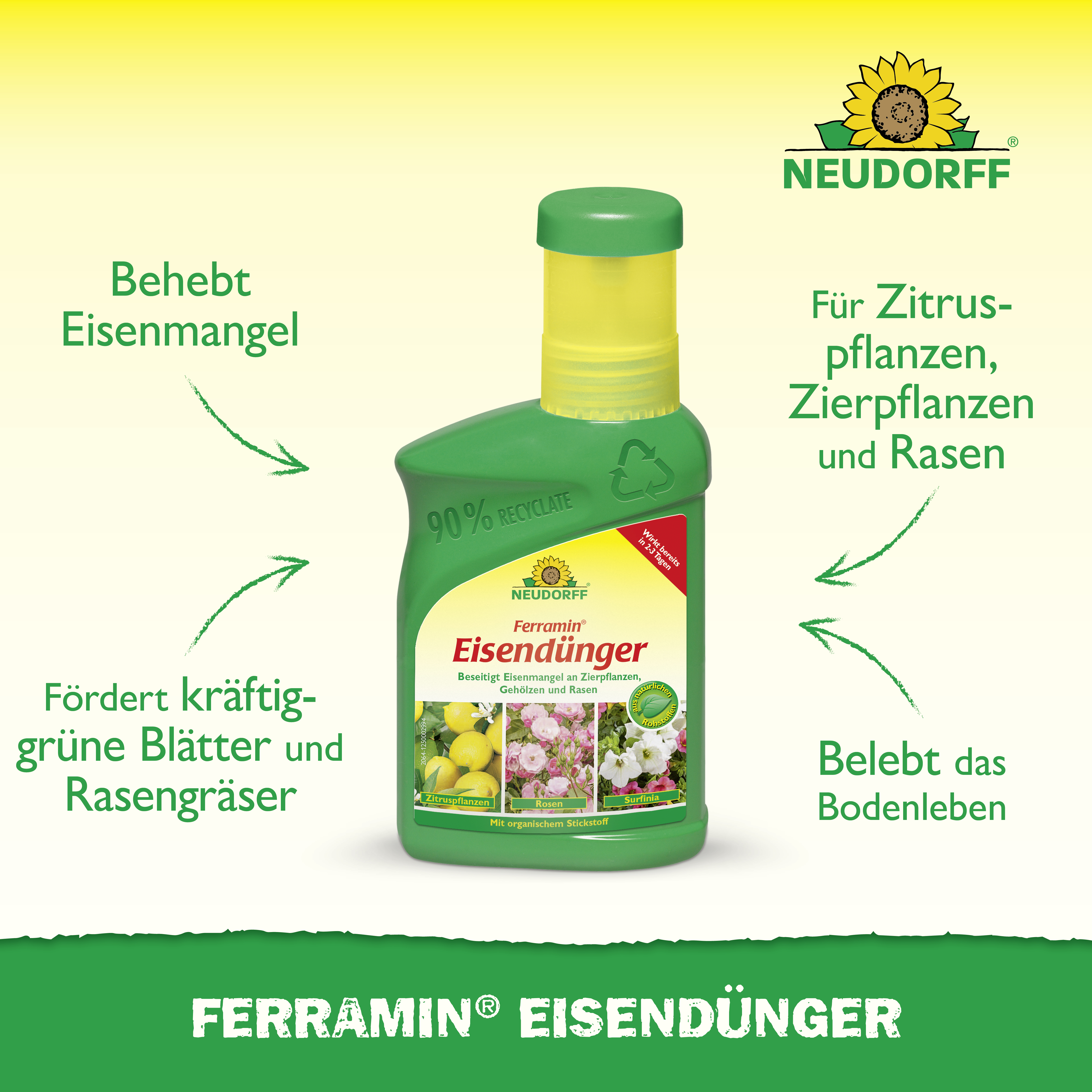 Neudorff Ferramin Eisendünger