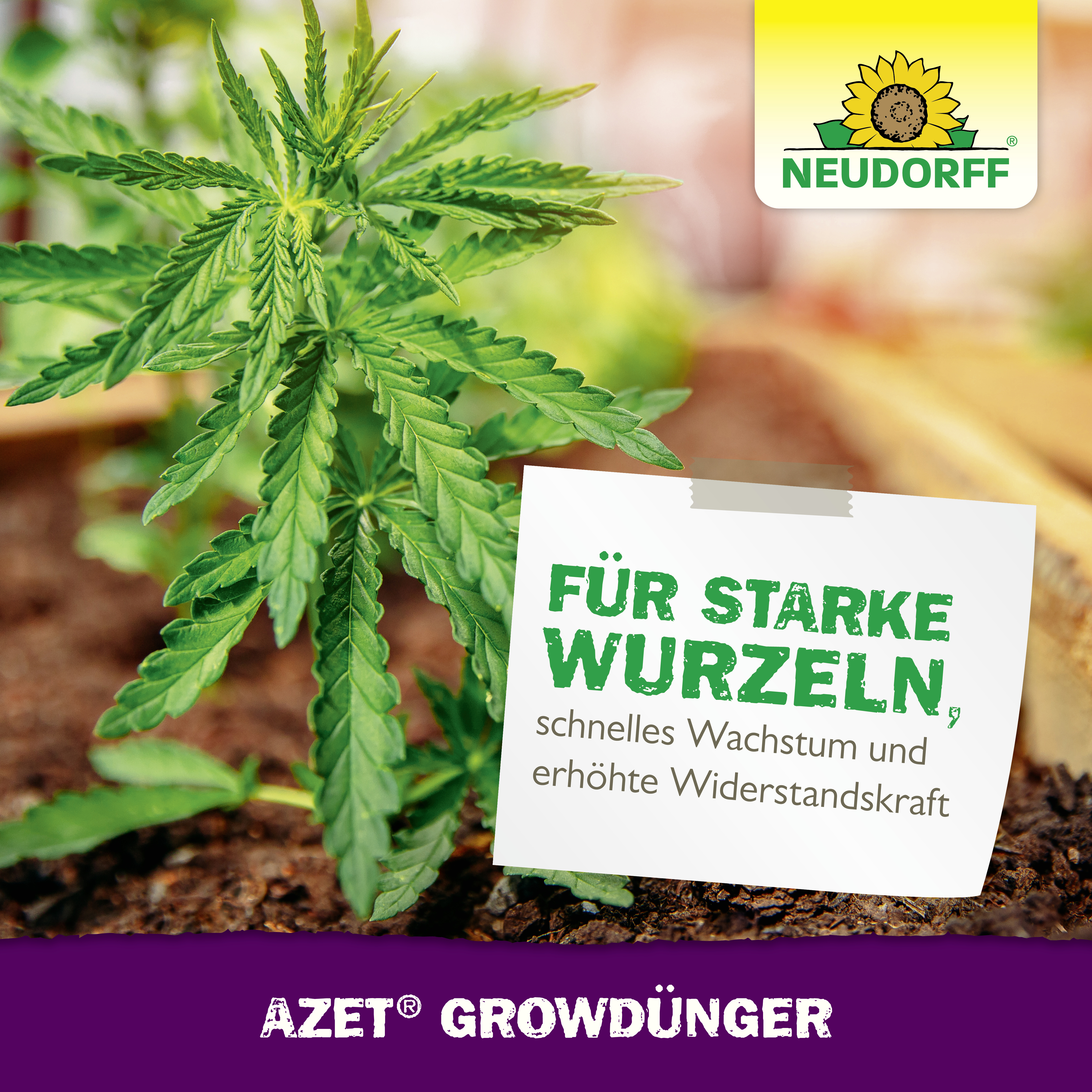 Neudorff Azet GrowDünger, 250 ml
