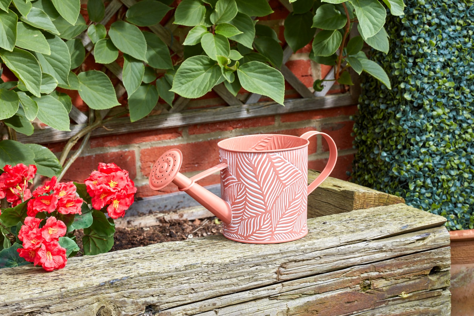 Smart Garden Pflanzkübel Farn, Terrakotta