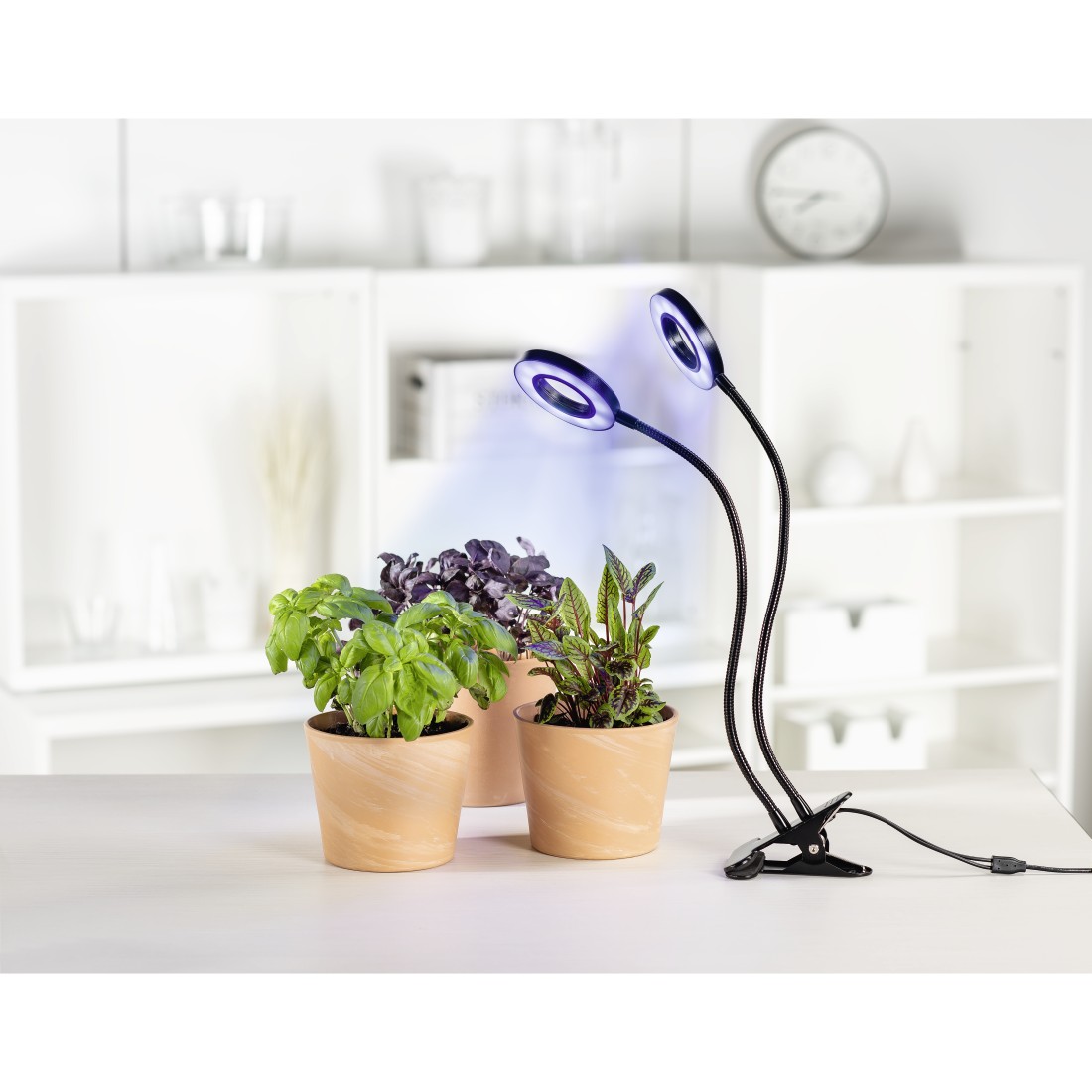 Hama LED-Pflanzenleuchte Circle Hama LED-Pflanzenleuchte Circle