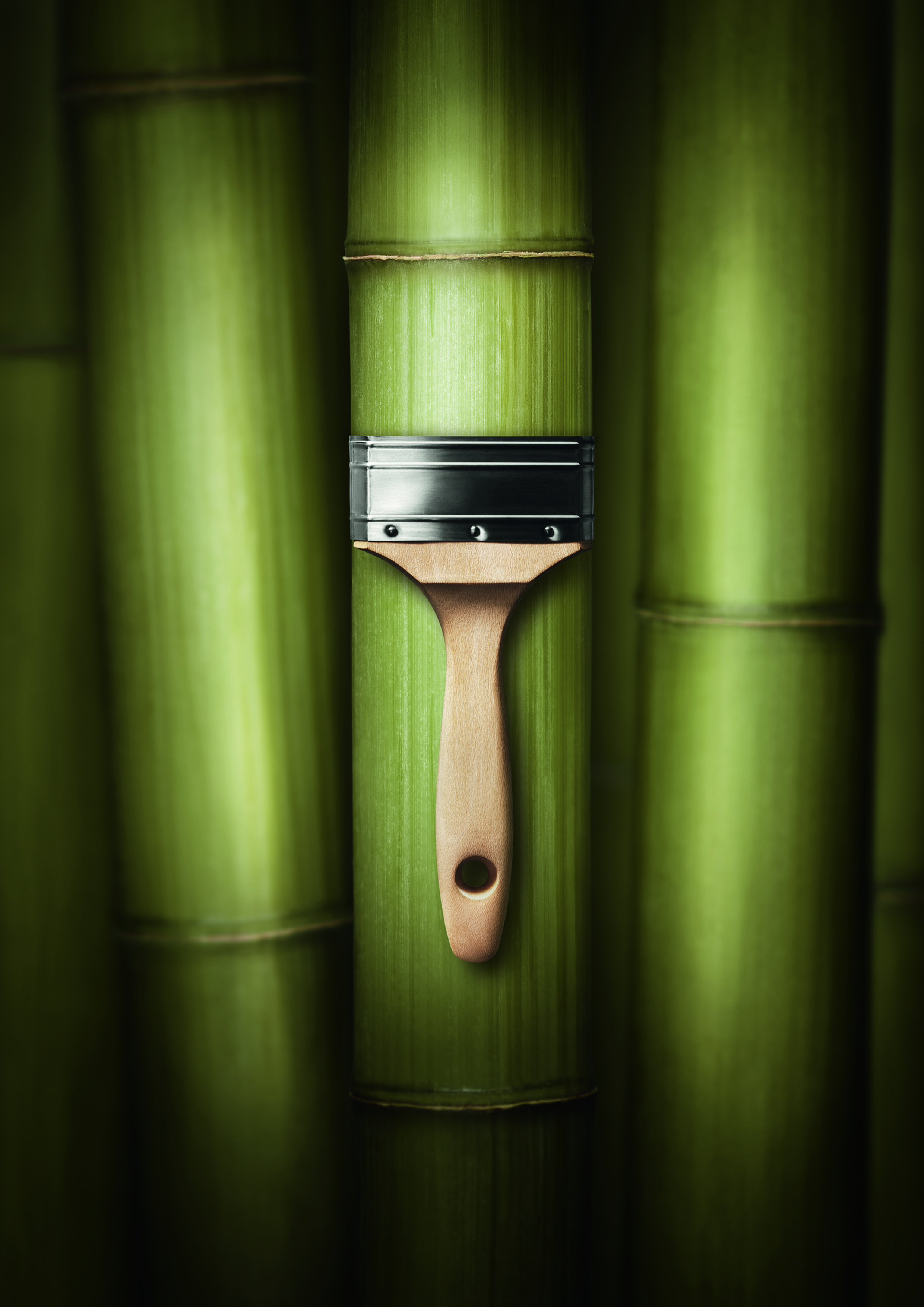 Schöner Wohnen Trendfarbe, bamboo matt