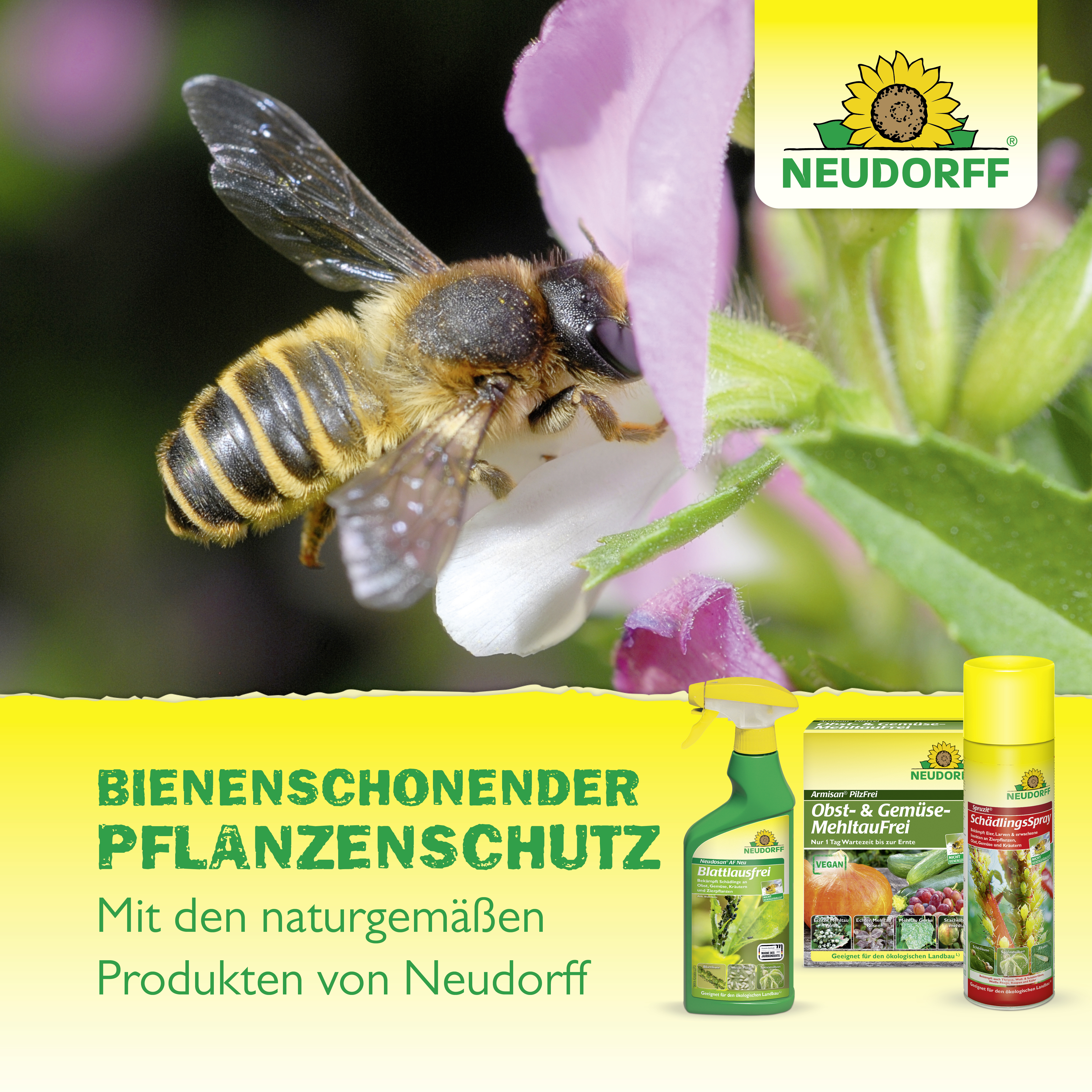 Neudorff Spruzit AF Schädlingsfrei, 250 ml