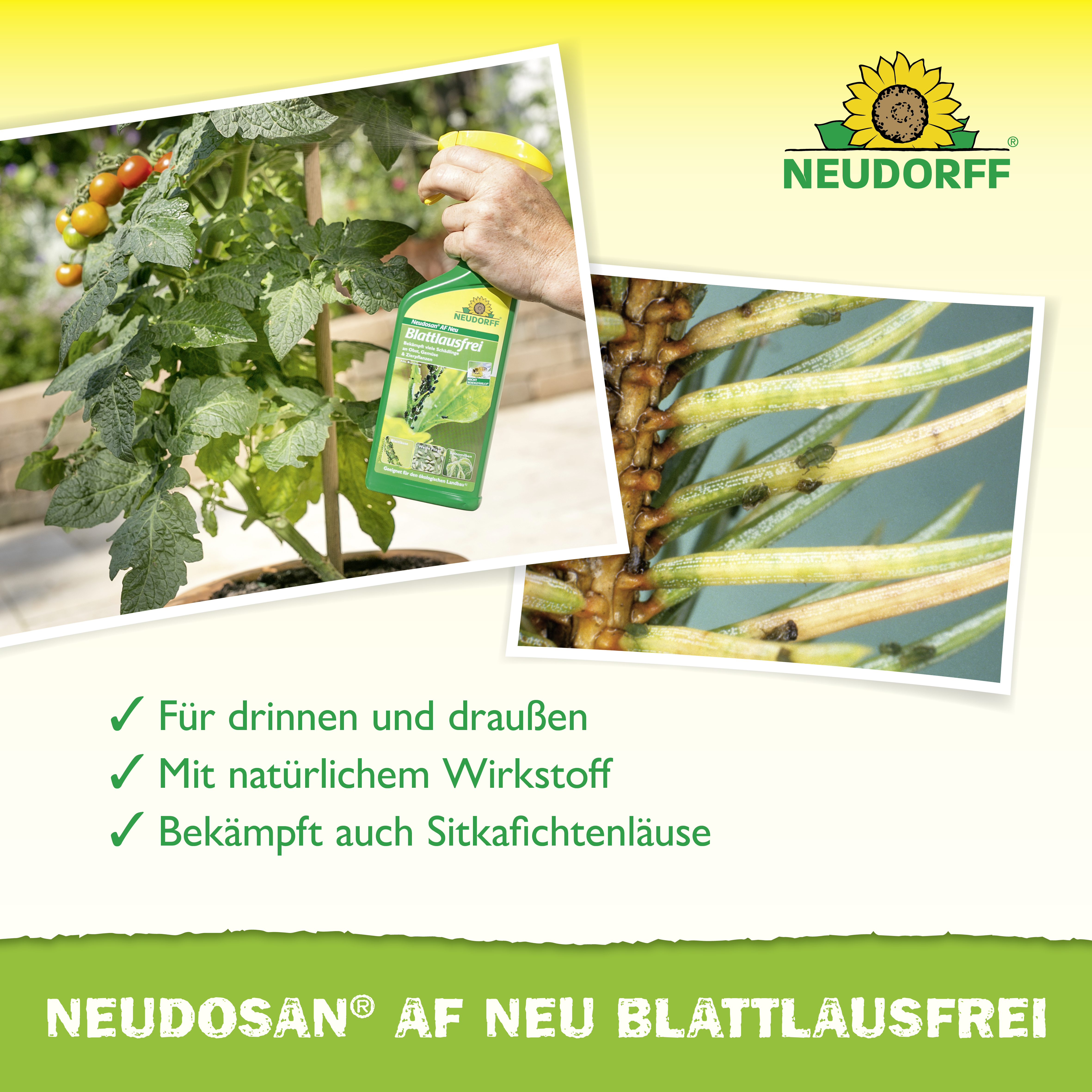Neudorff Neudosan AF Neu Blattlausfrei, 500 ml