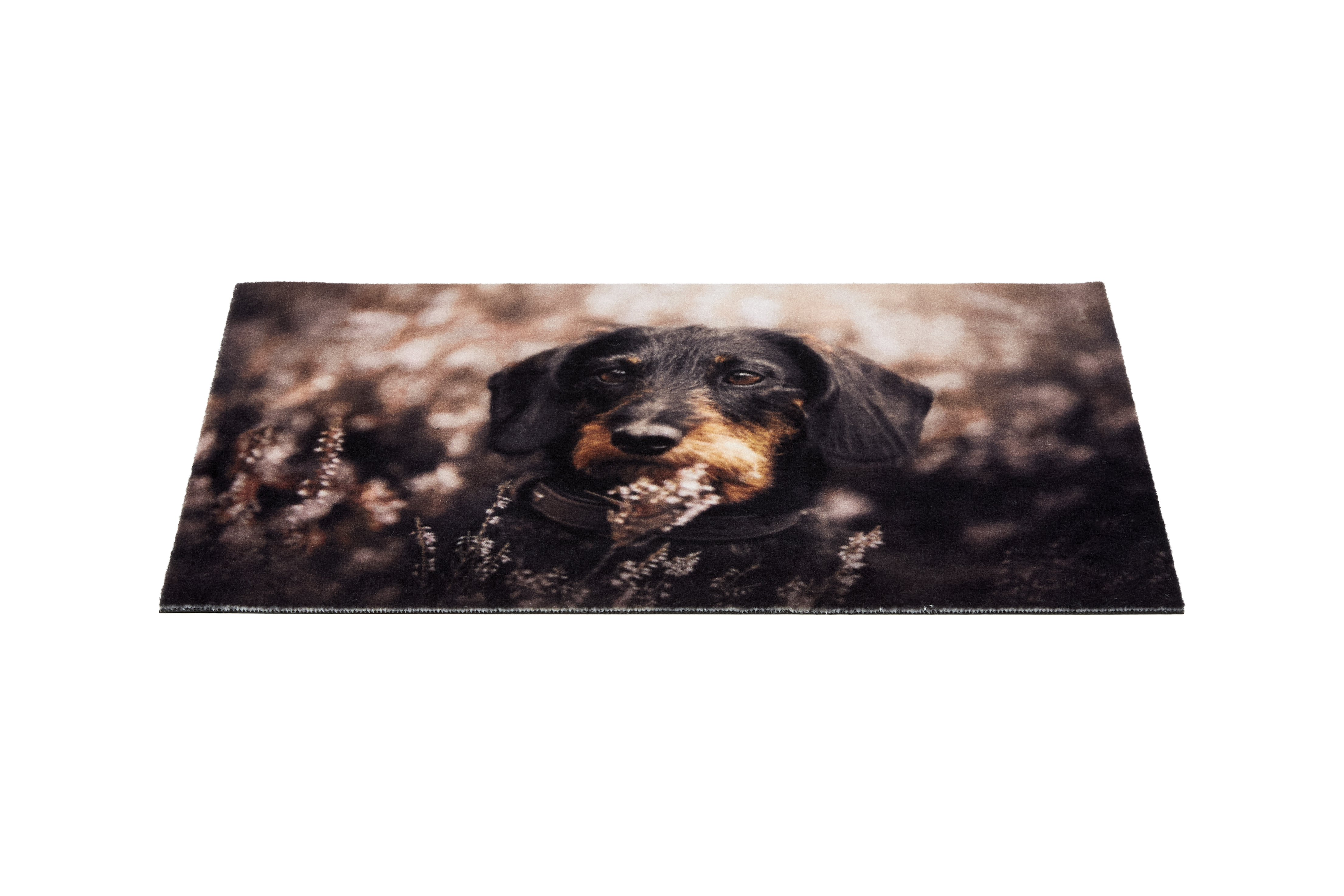 Astra Deco Print ca. 40x60cm D.106 C.999 Dackel