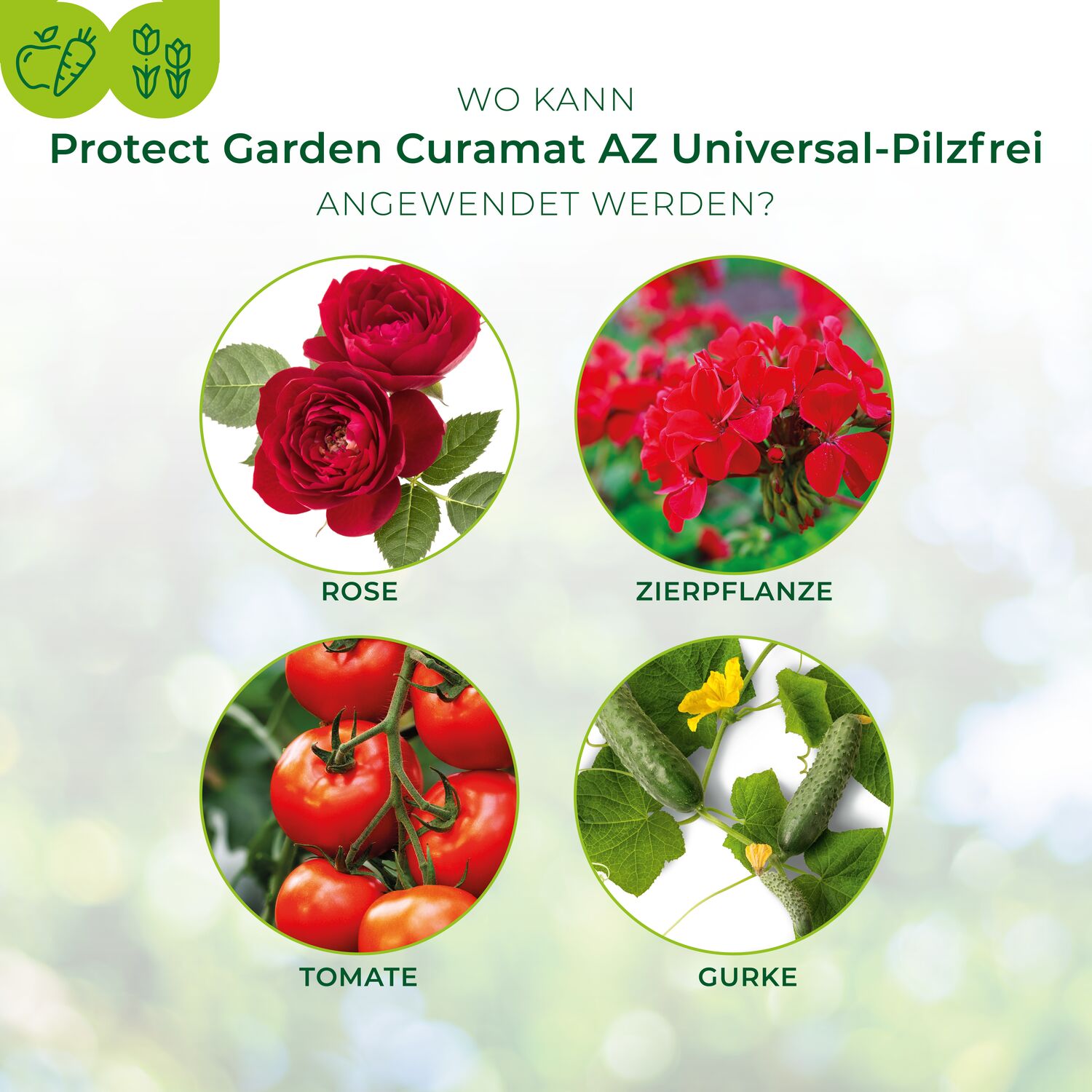 Protect Garden Curamat AZ Universal Pilzfrei, 1 l