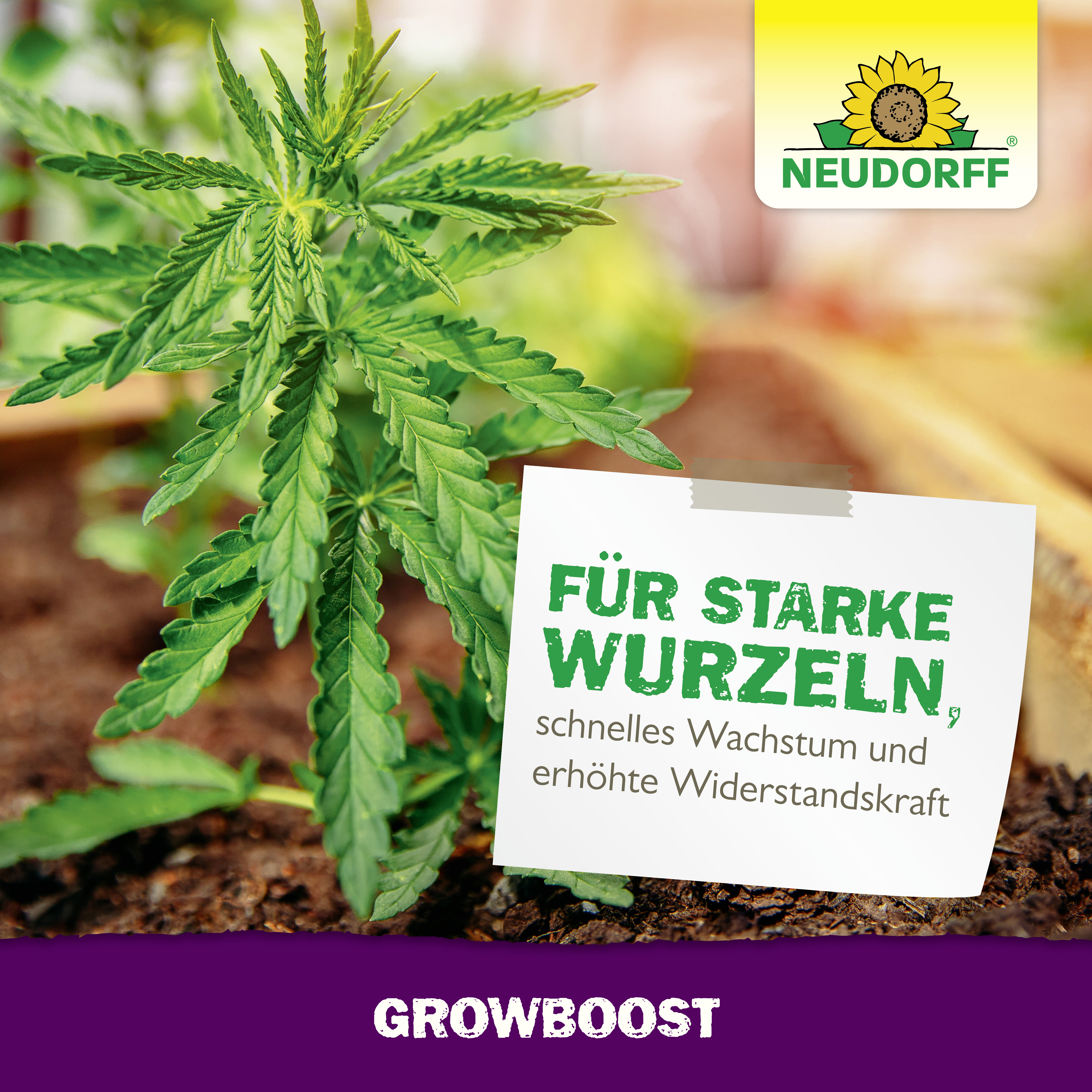 Neudorff GrowBoost