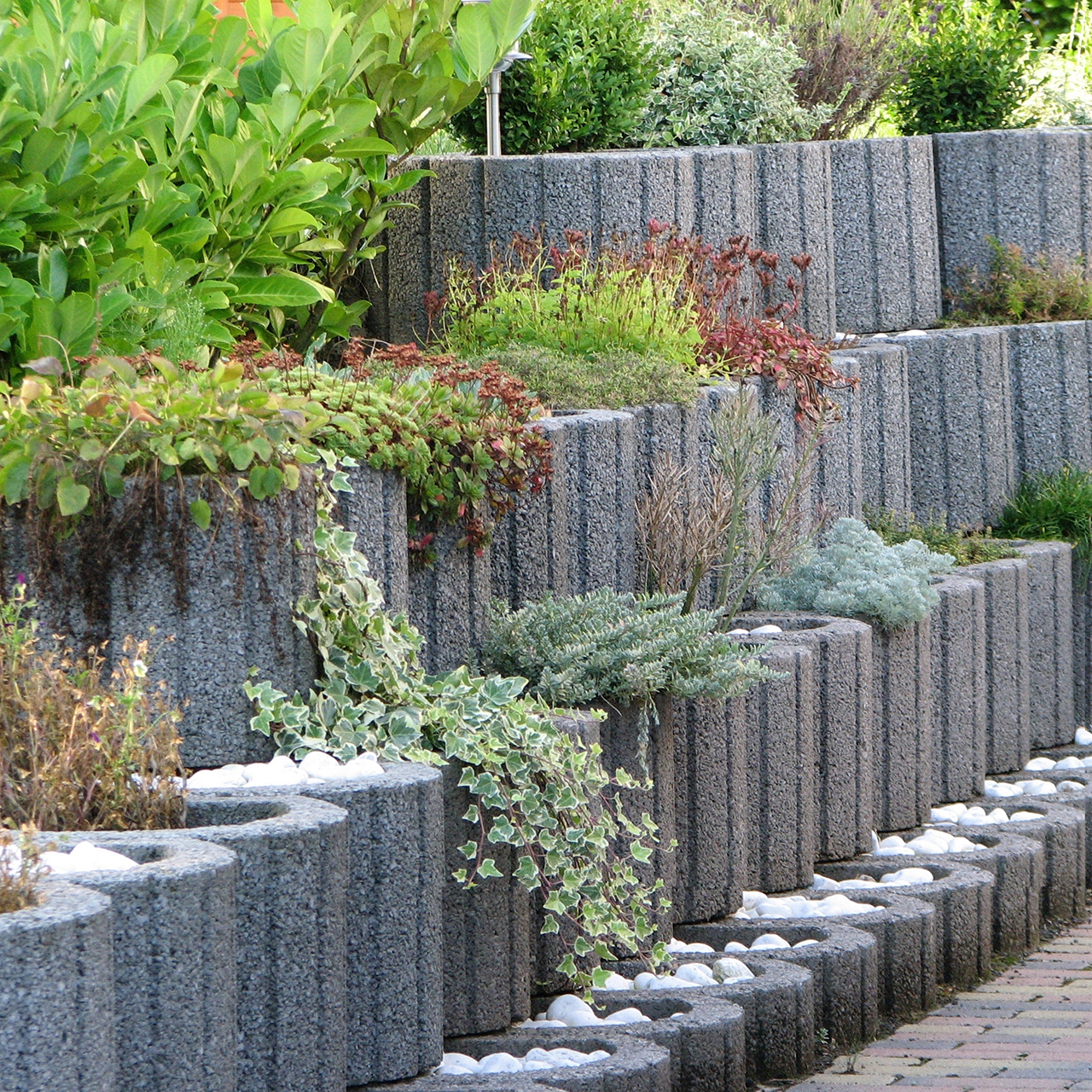 259600_Szenel1 Kann Pflanzring groß